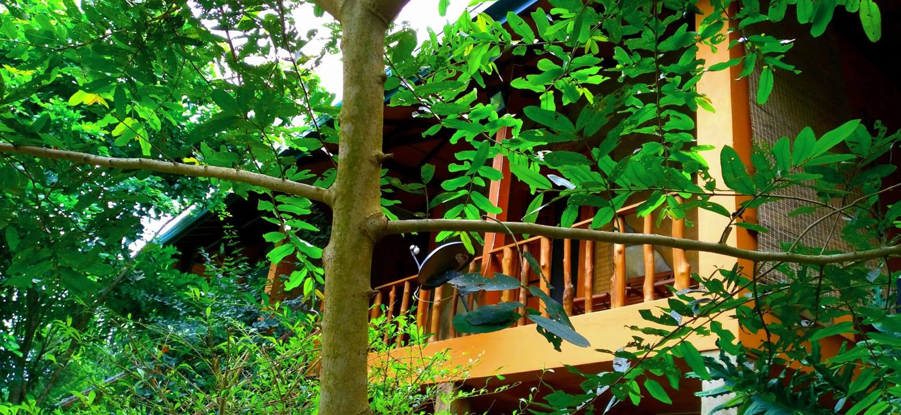Luck Uyana Cabana Pinnawala