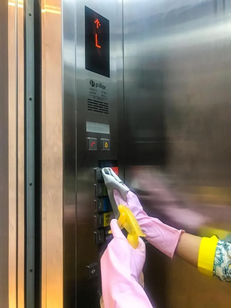 Activities in Rozelle by d'best hospitality