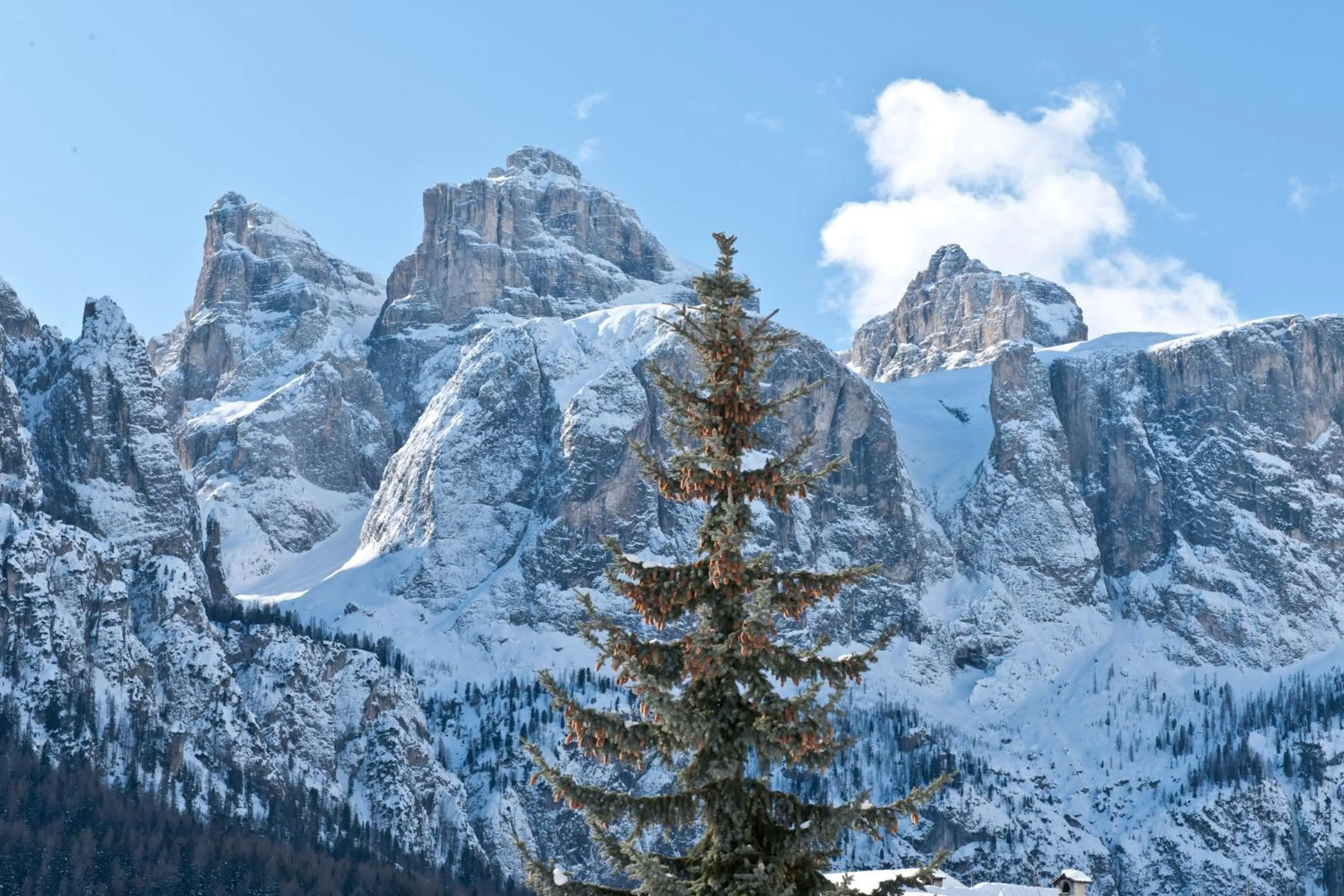 View (from property/room) in Ciasa Sunara