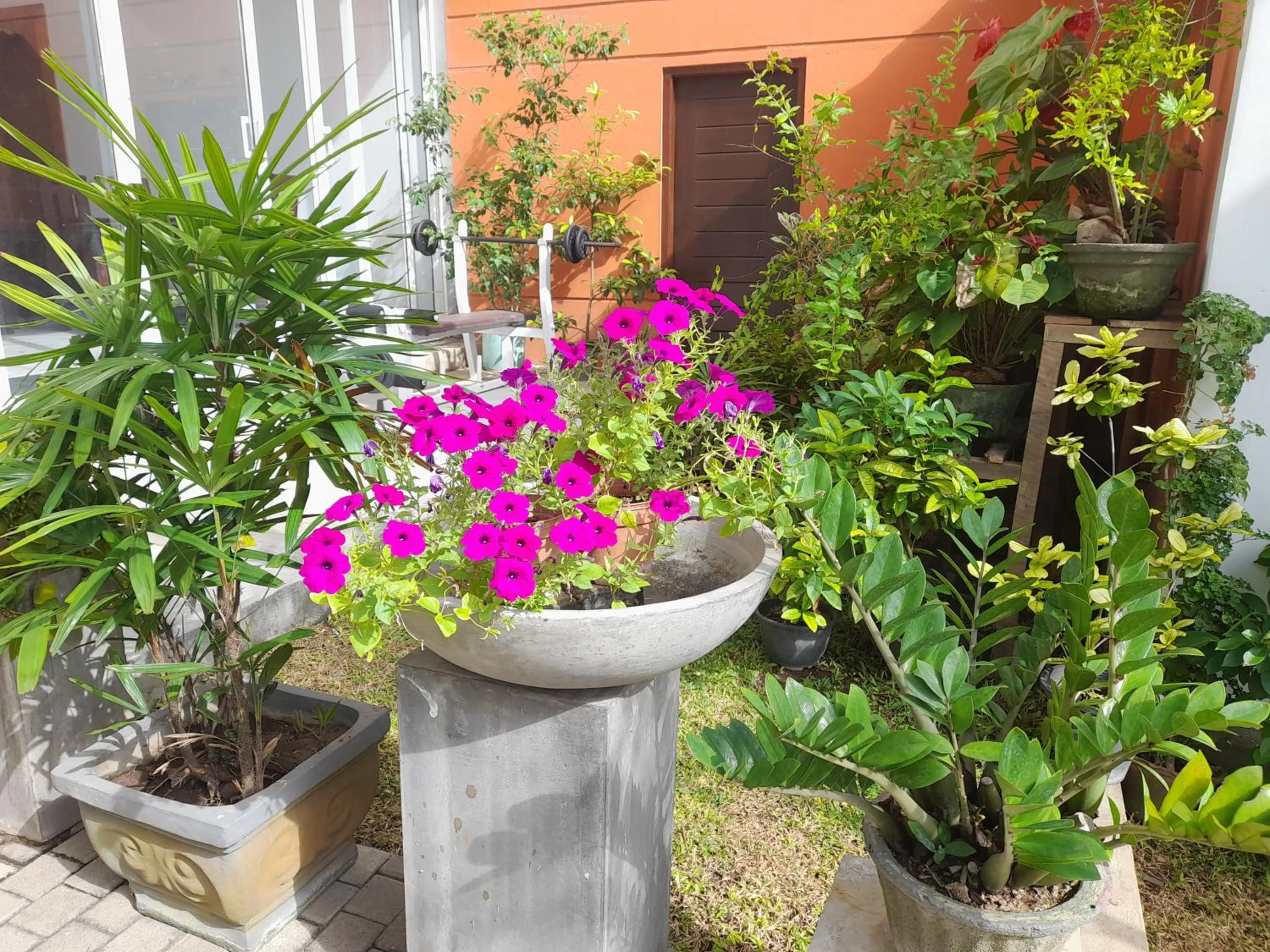 Hotel Marine at Negombo Beach