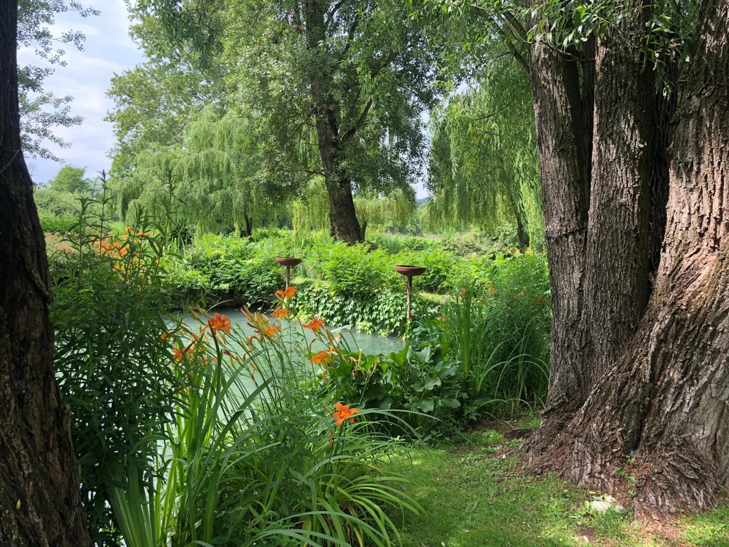 La Finestra sul Fiume