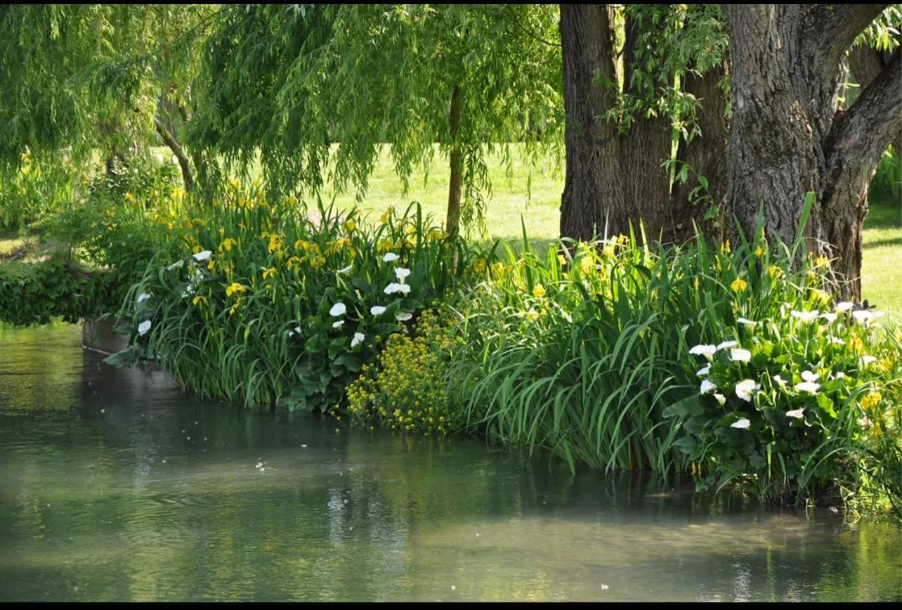 La Finestra sul Fiume