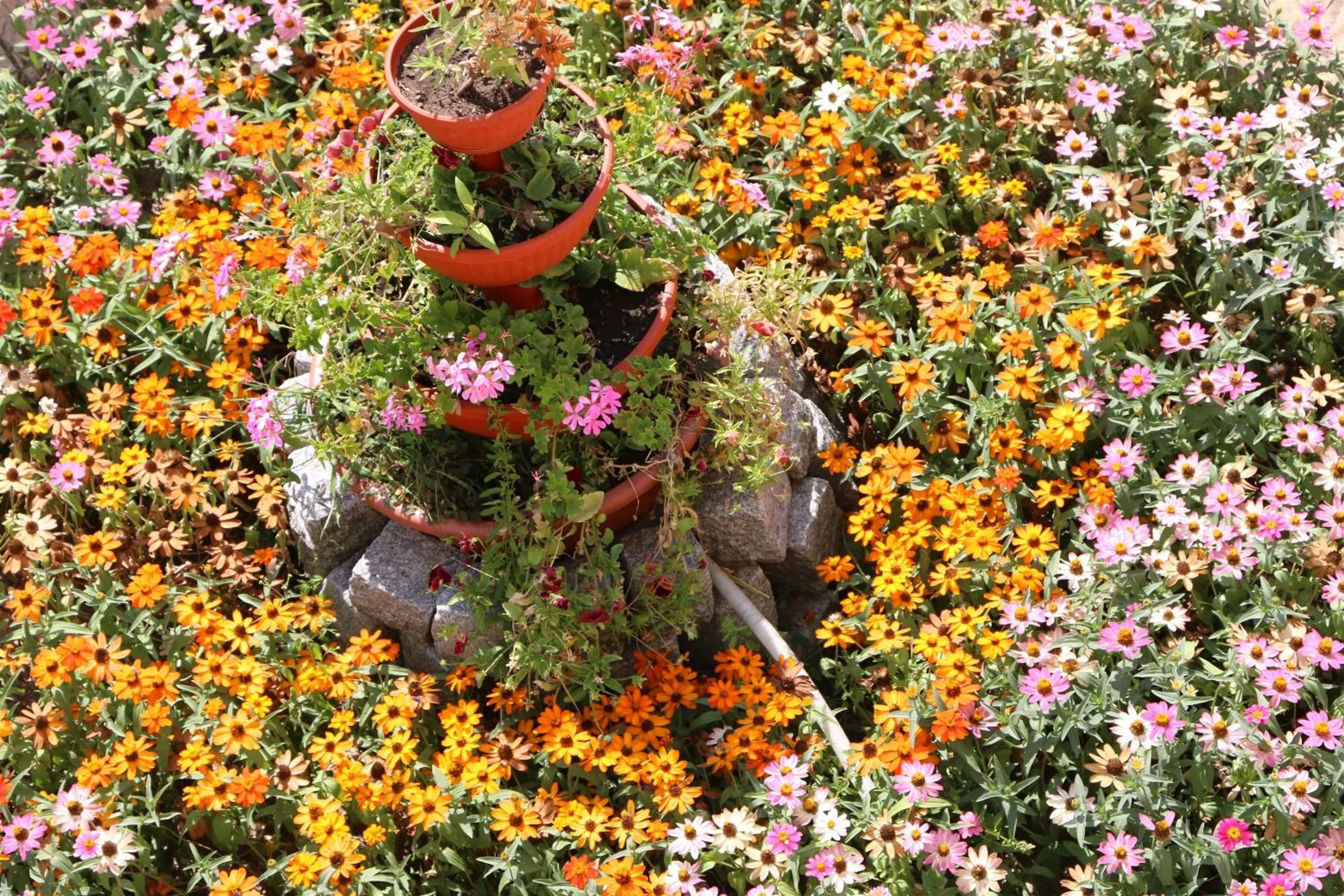 Property building in Shipka IT Hotel