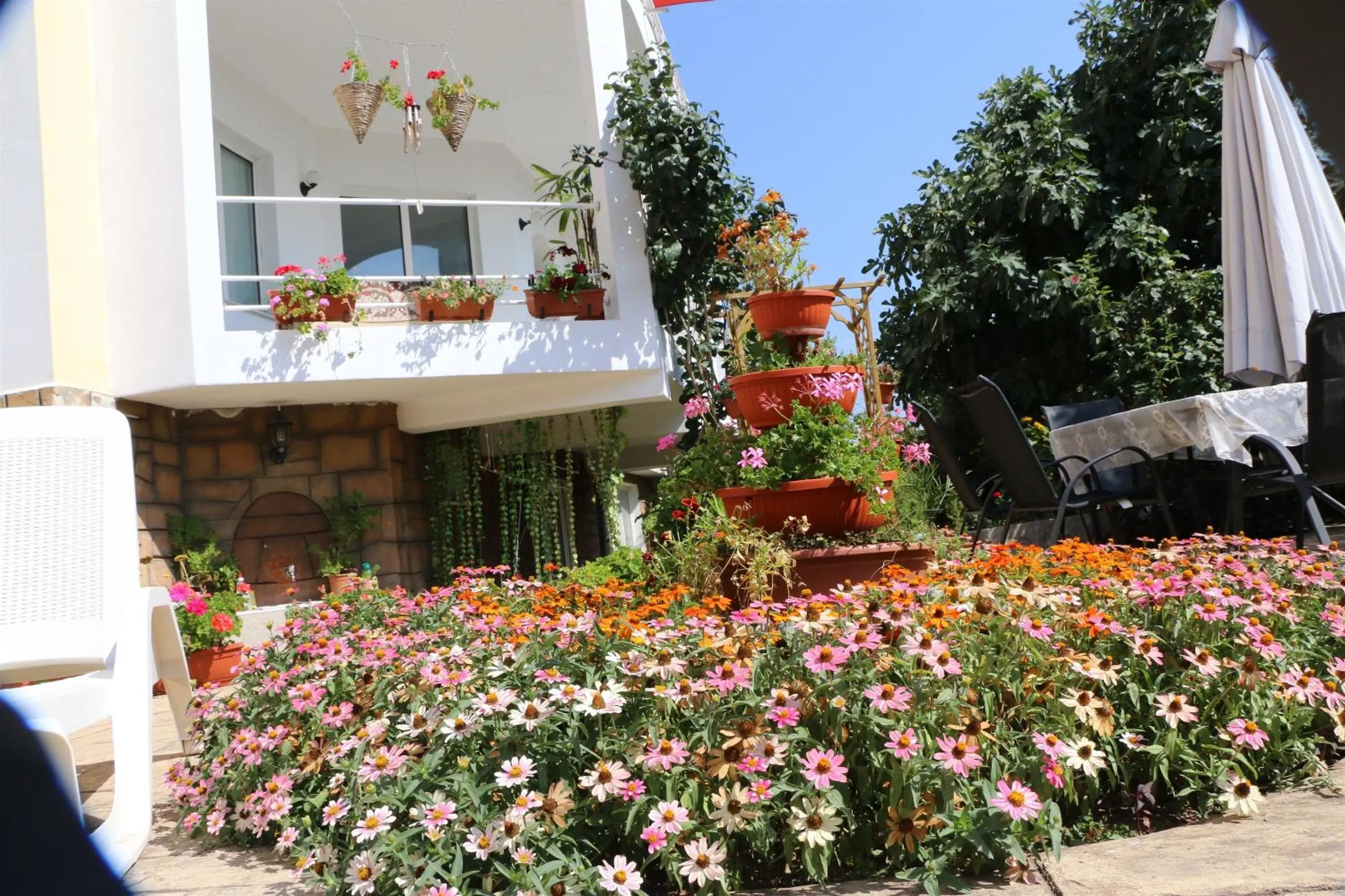 Property building in Shipka IT Hotel