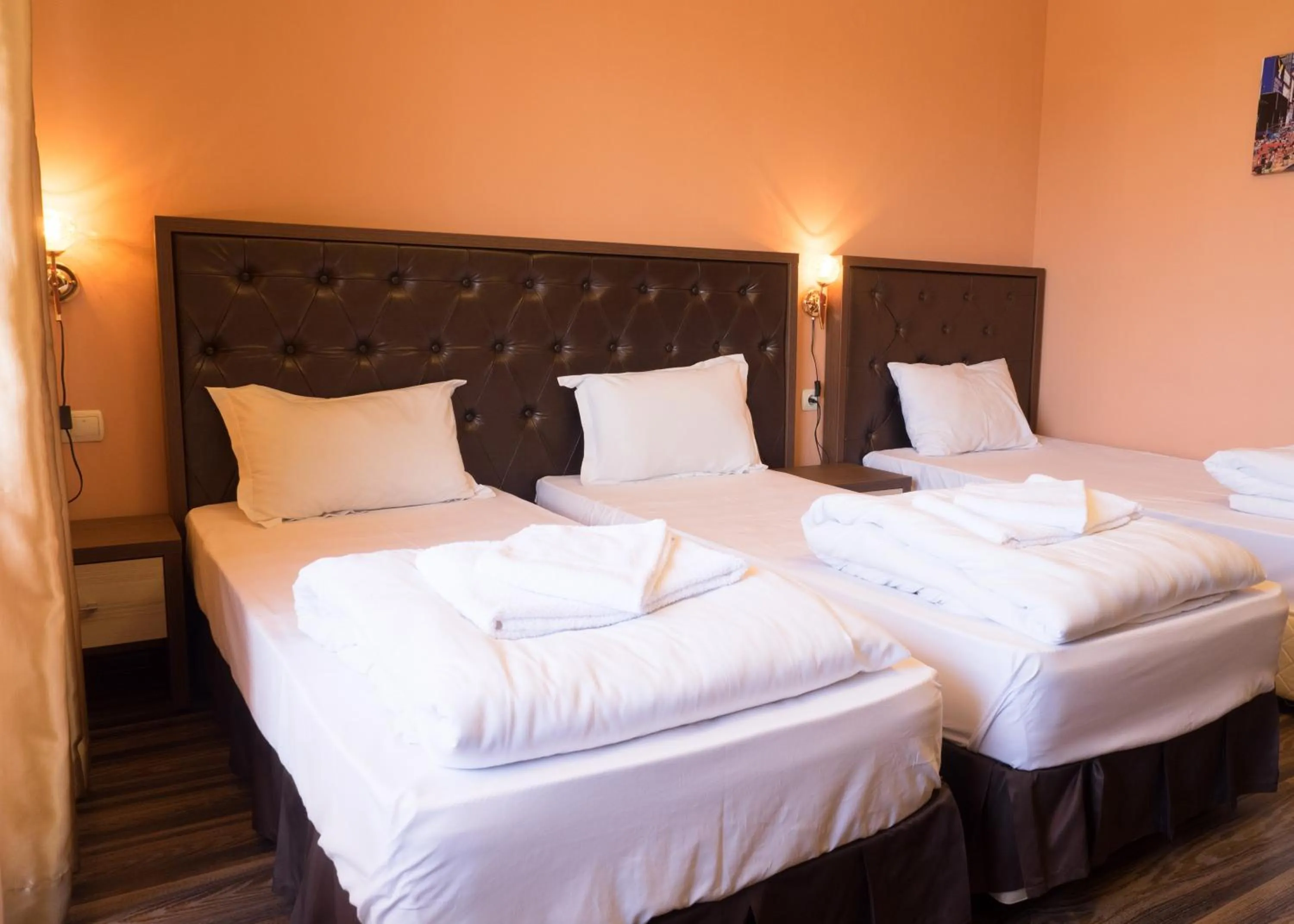 Photo of the whole room, Bed in City Blagoevgrad Family Hotel