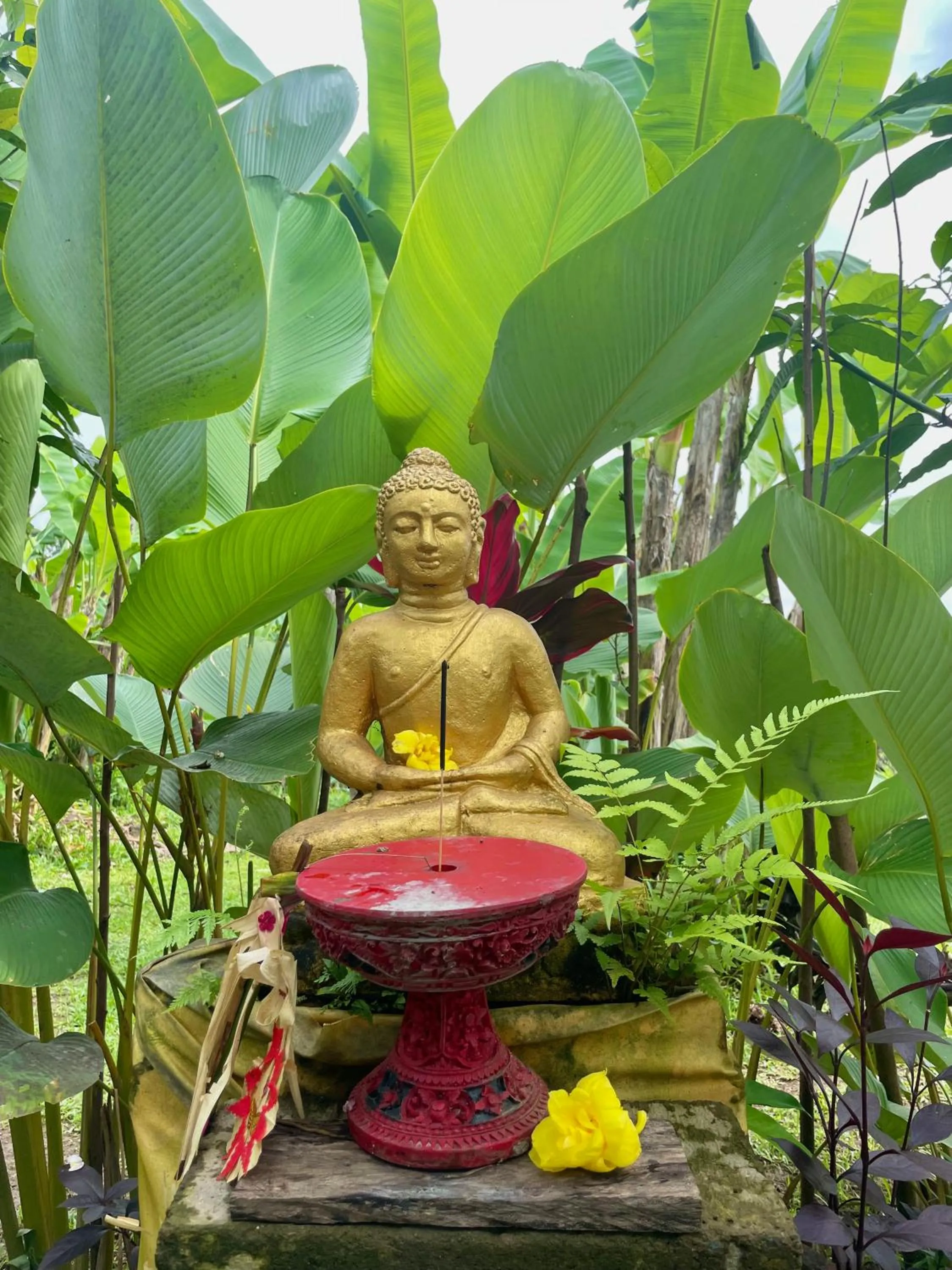 bucu hidden guest house, and meditation center