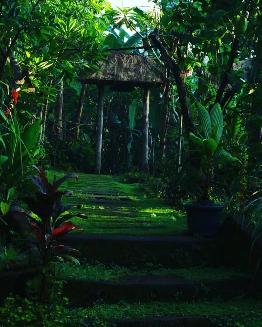 Garden view in bucu hidden guest house, and meditation center