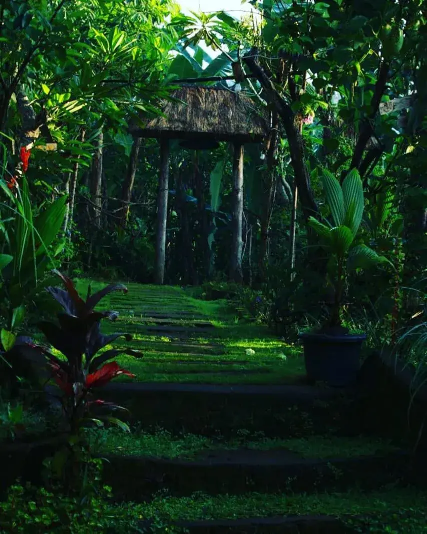bucu hidden guest house, and meditation center bucu hidden guest house, and meditation center