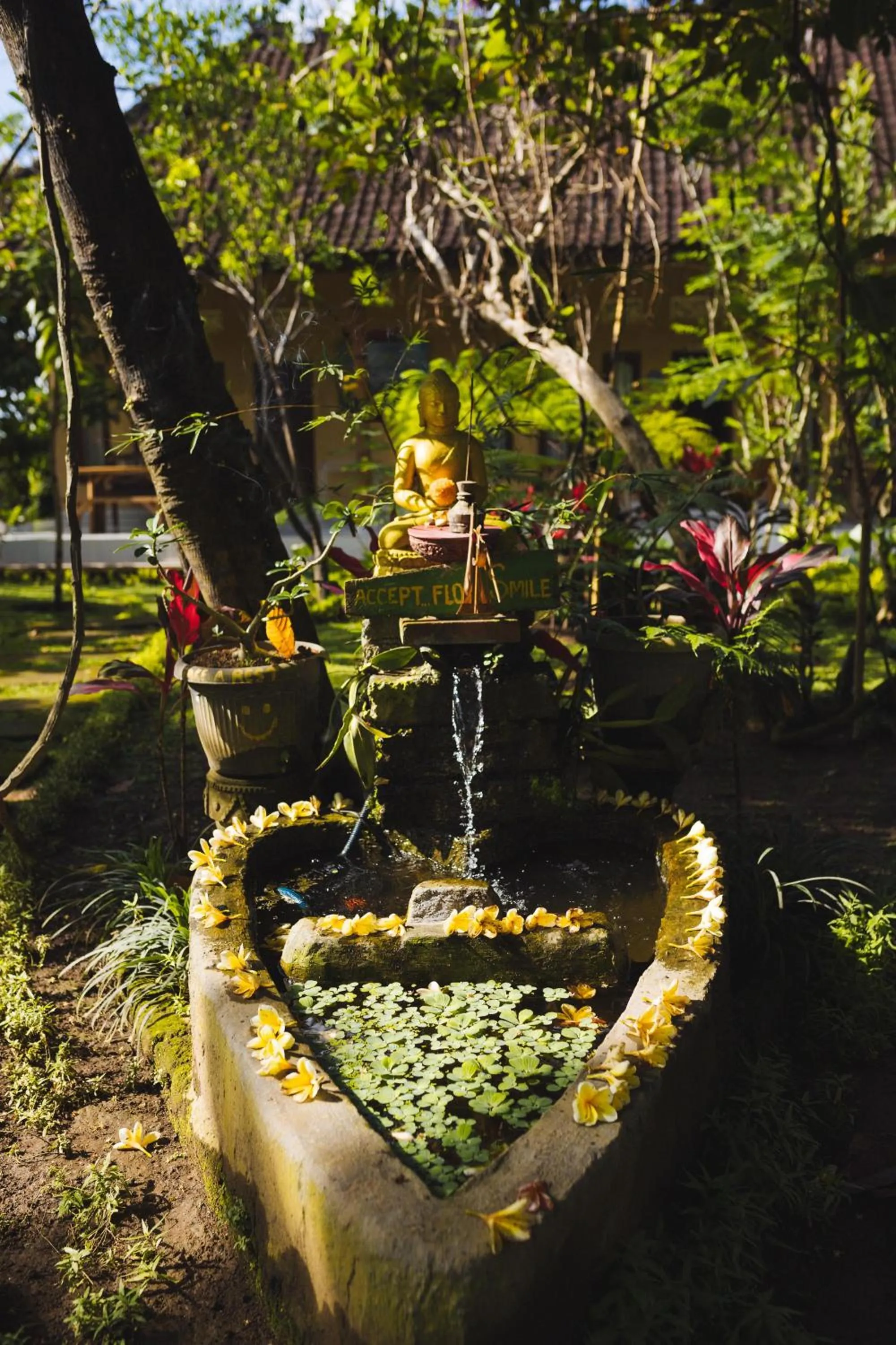 bucu hidden guest house, and meditation center
