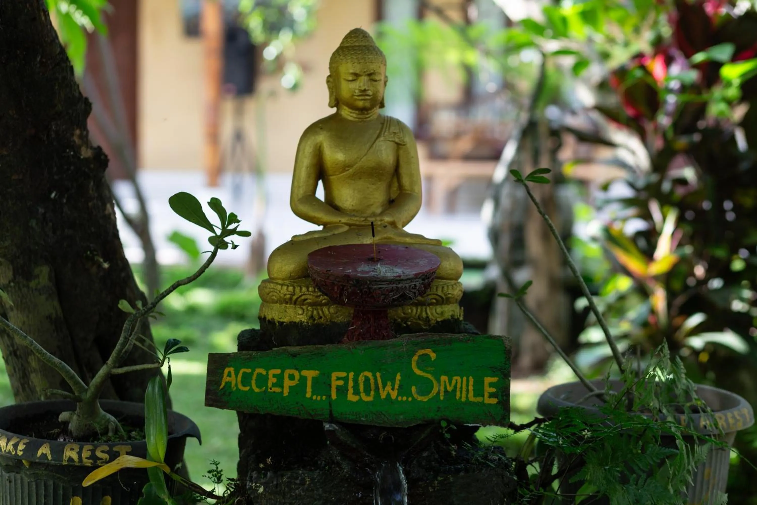 bucu hidden guest house, and meditation center
