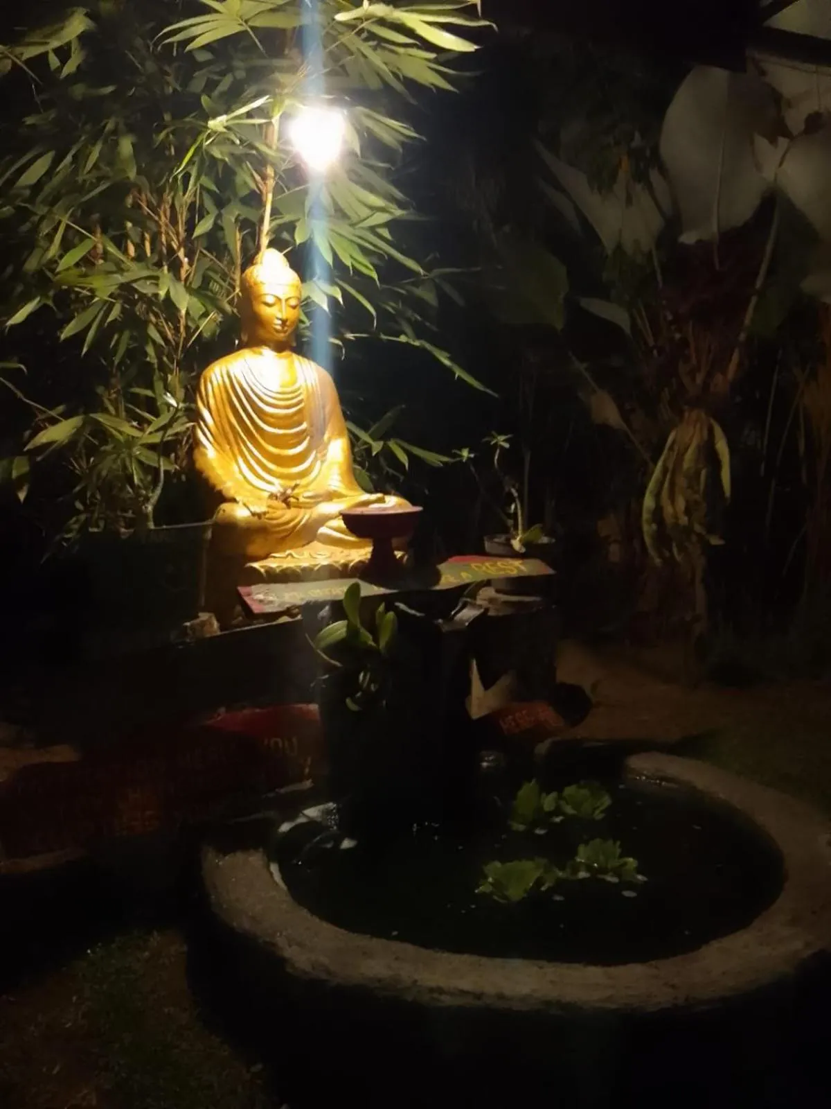 bucu hidden guest house, and meditation center