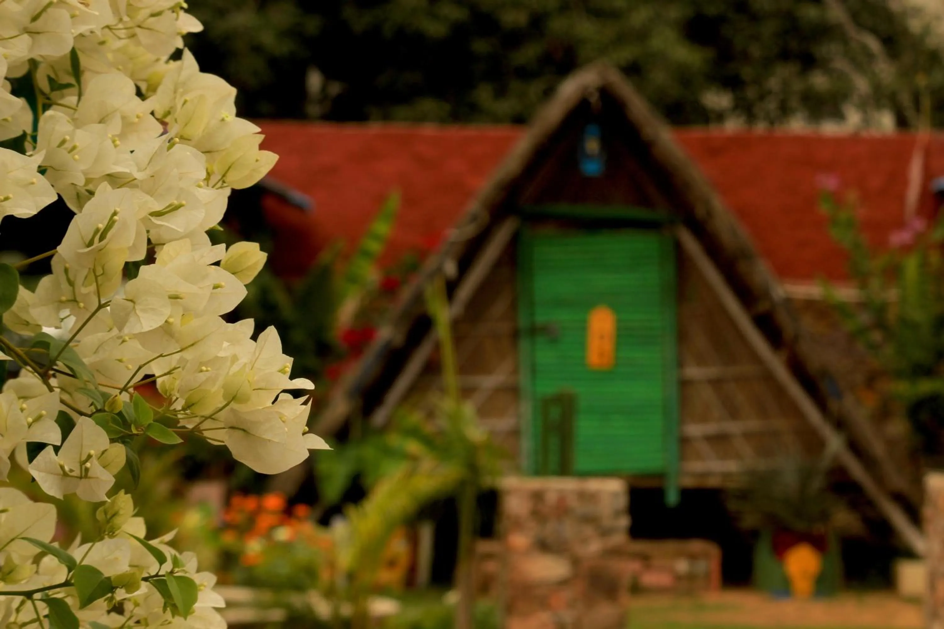 Spring in Namaste India