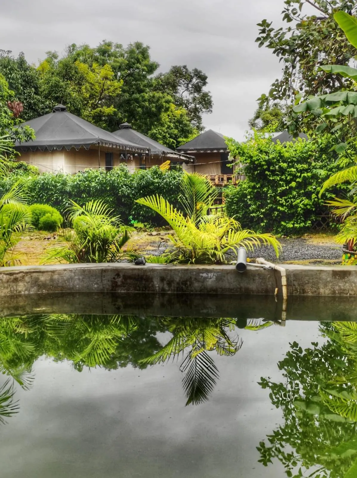 Spring in Namaste India