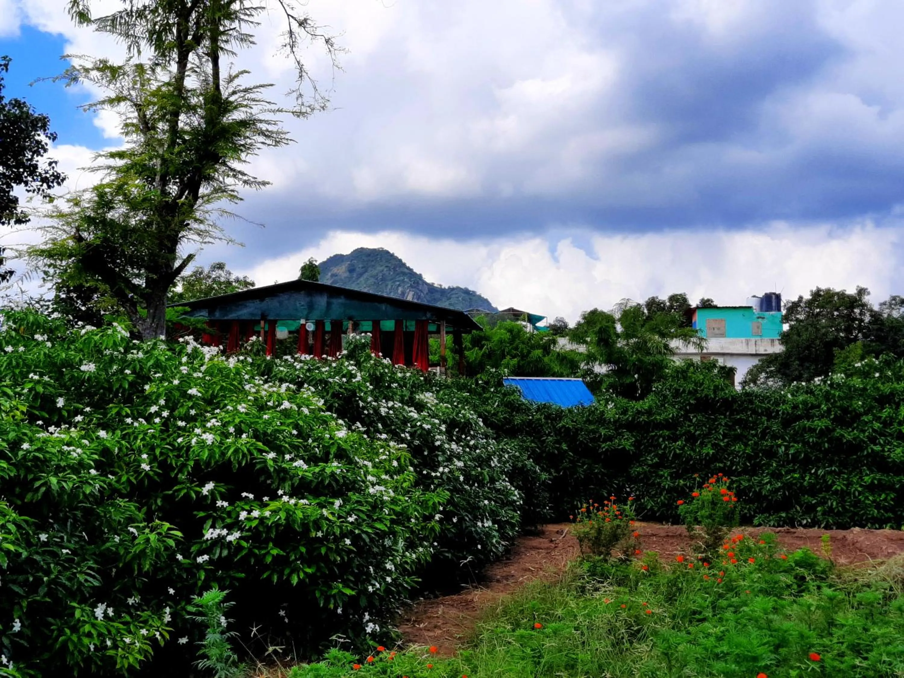 Property building in Namaste India