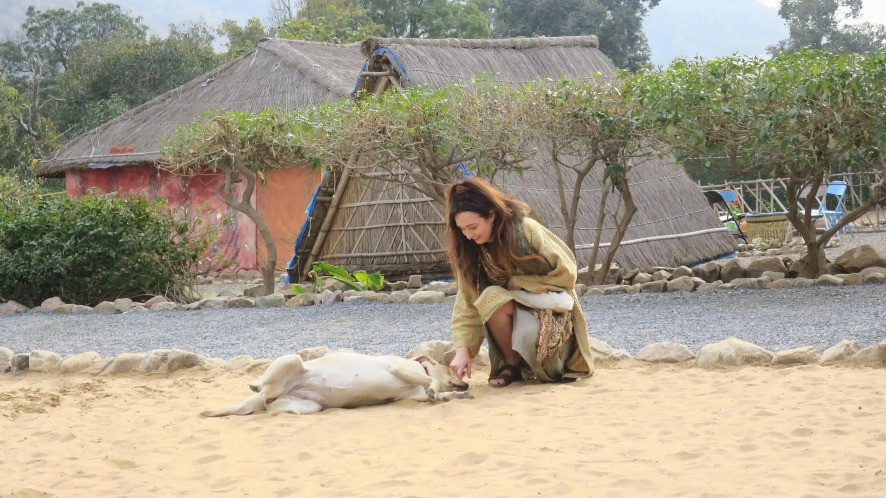 Property building in Namaste India Property building in Namaste India