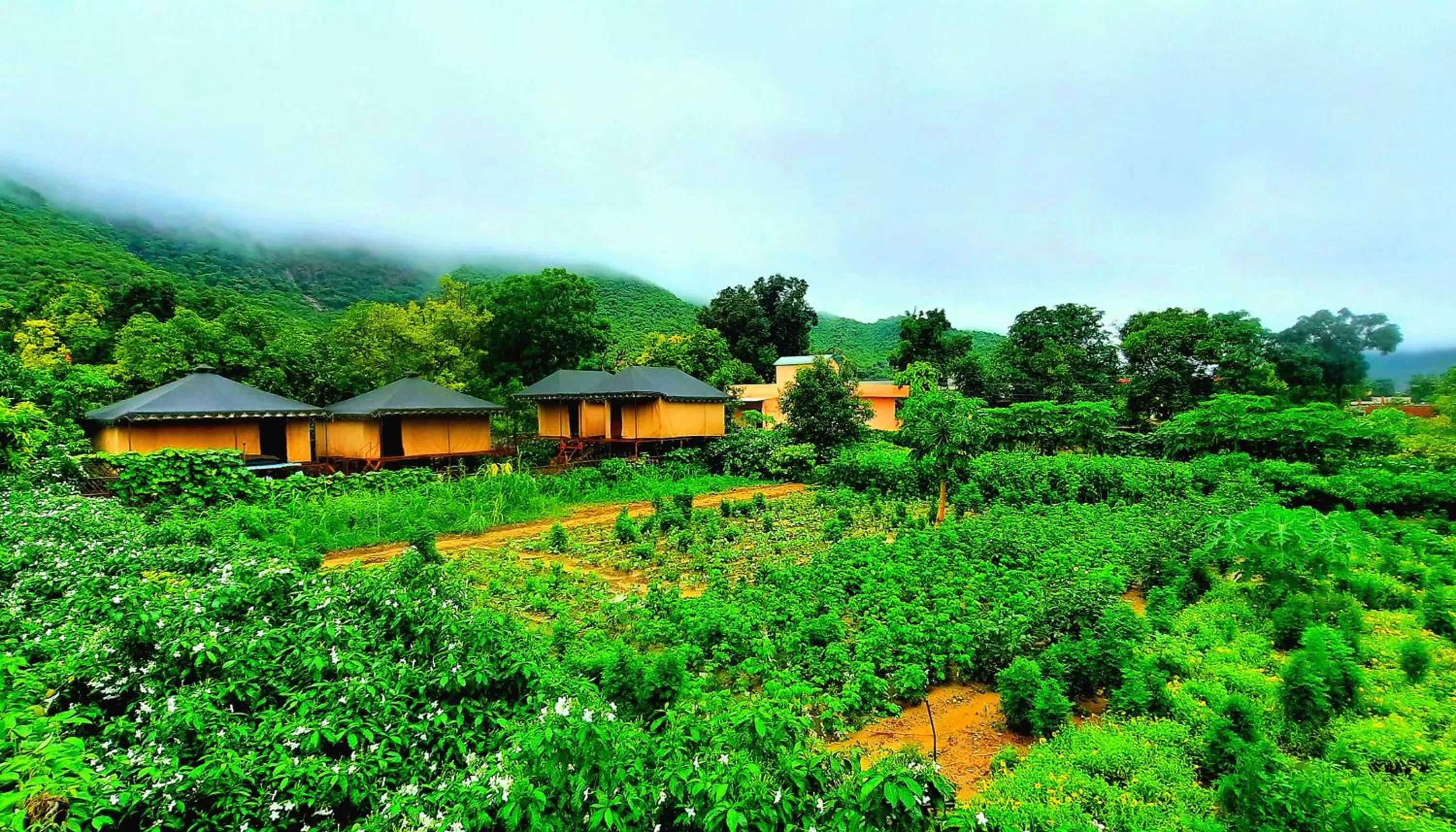 Spring in Namaste India