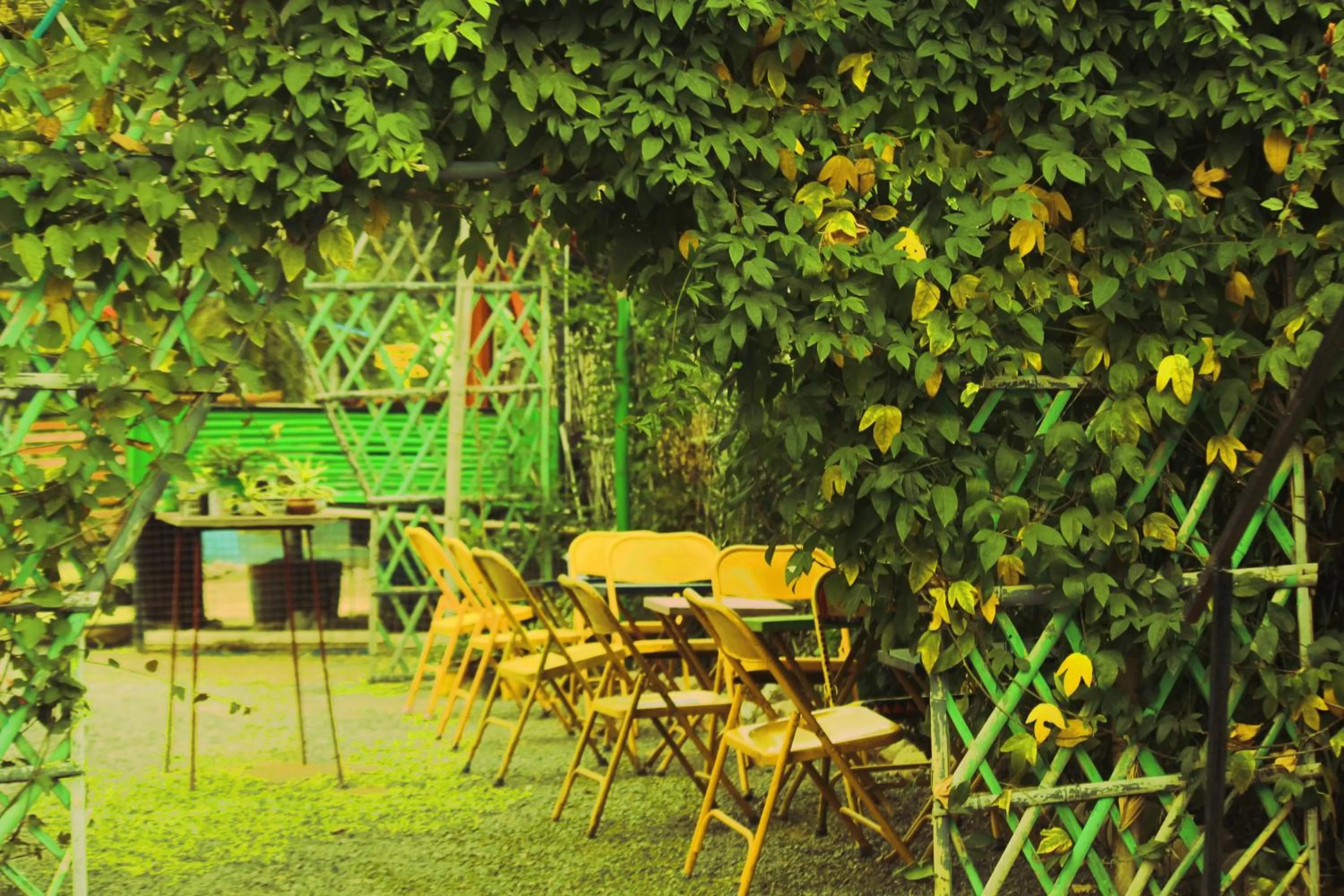 Garden view in Namaste India