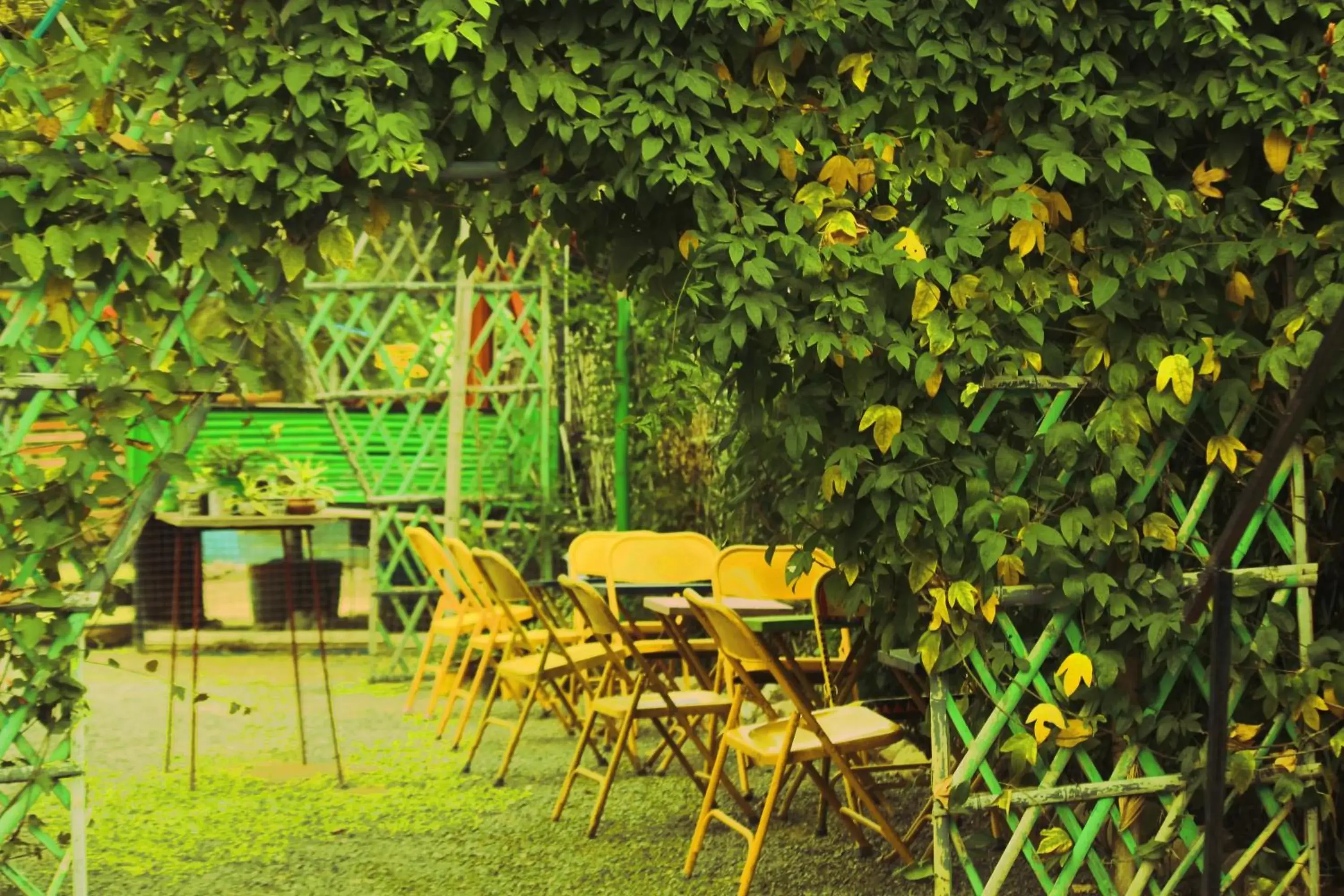 Garden view in Namaste India Garden view in Namaste India