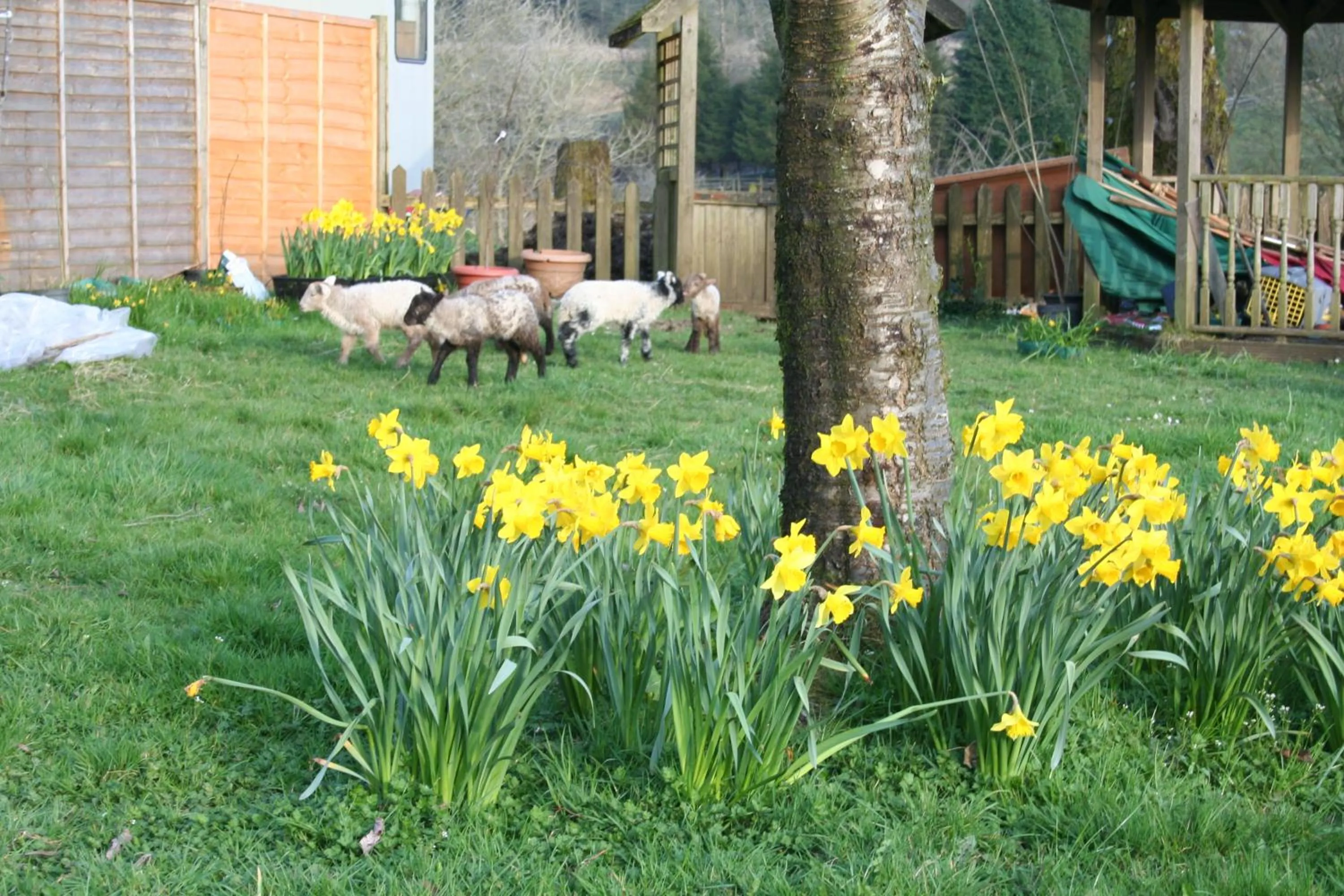 Garden in Barn Cottage - Farm Park Stay with Hot Tub