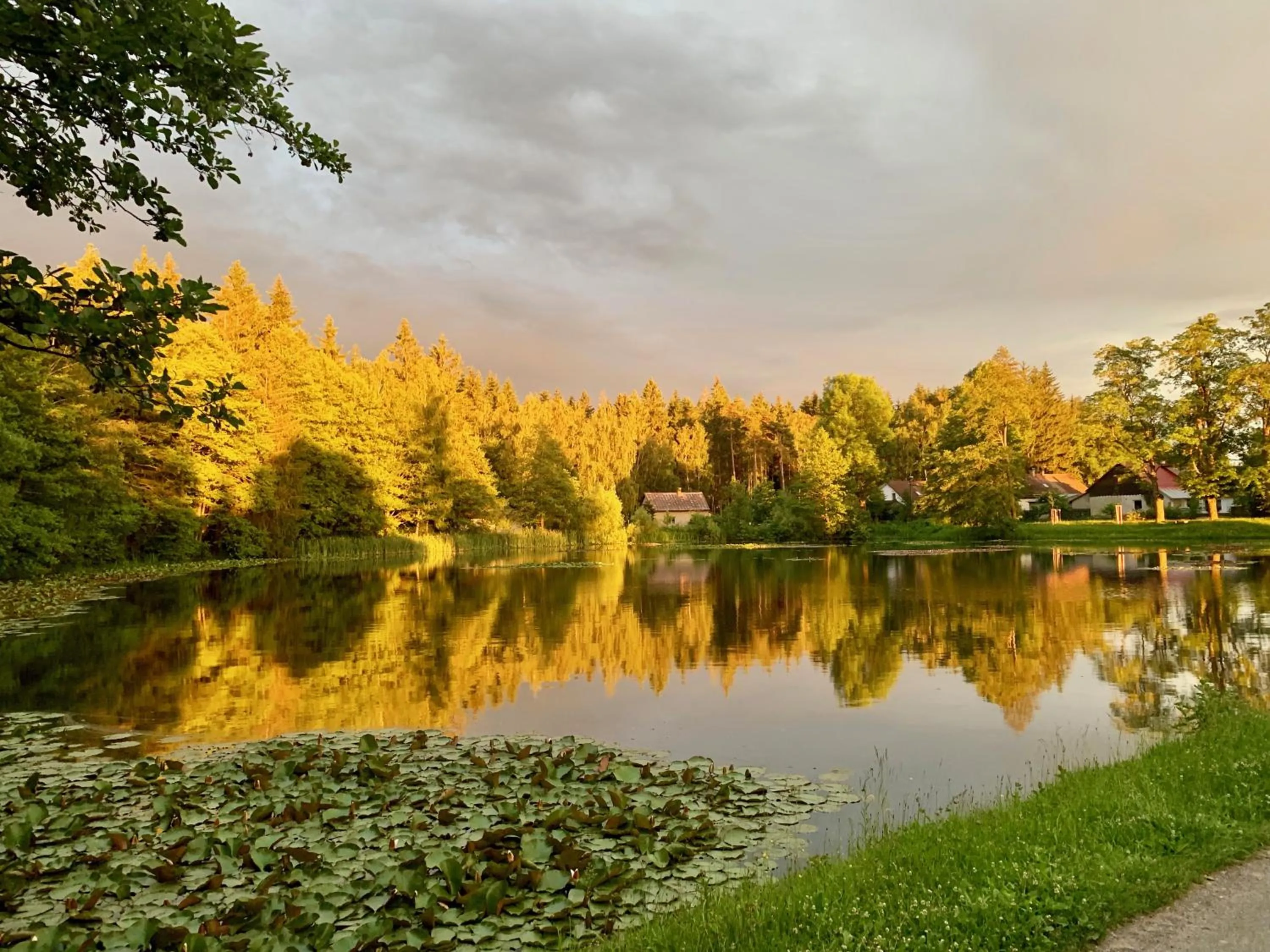 View (from property/room) in Hotel Leopold Račín