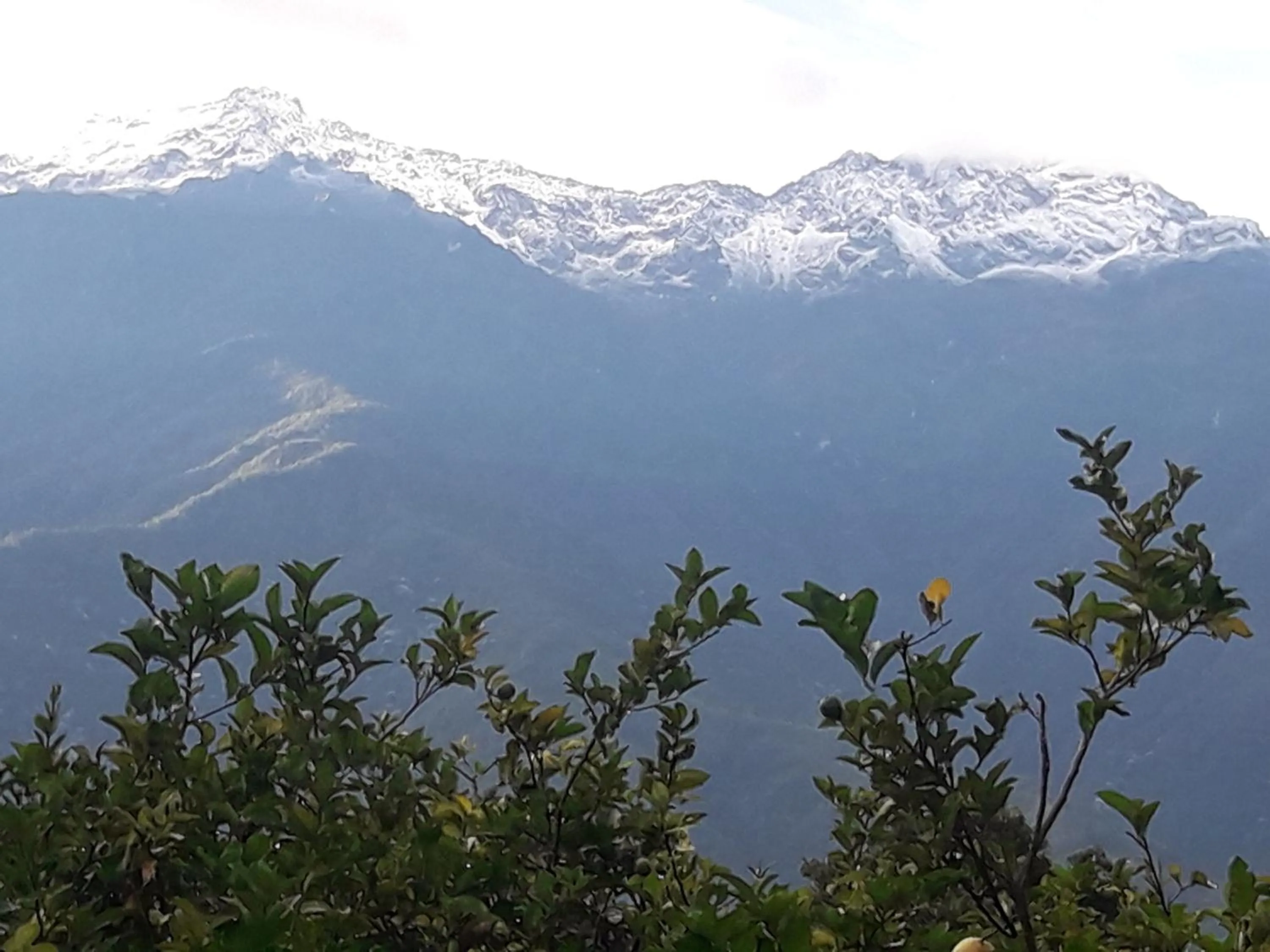 Casas Vacacionales La Cima