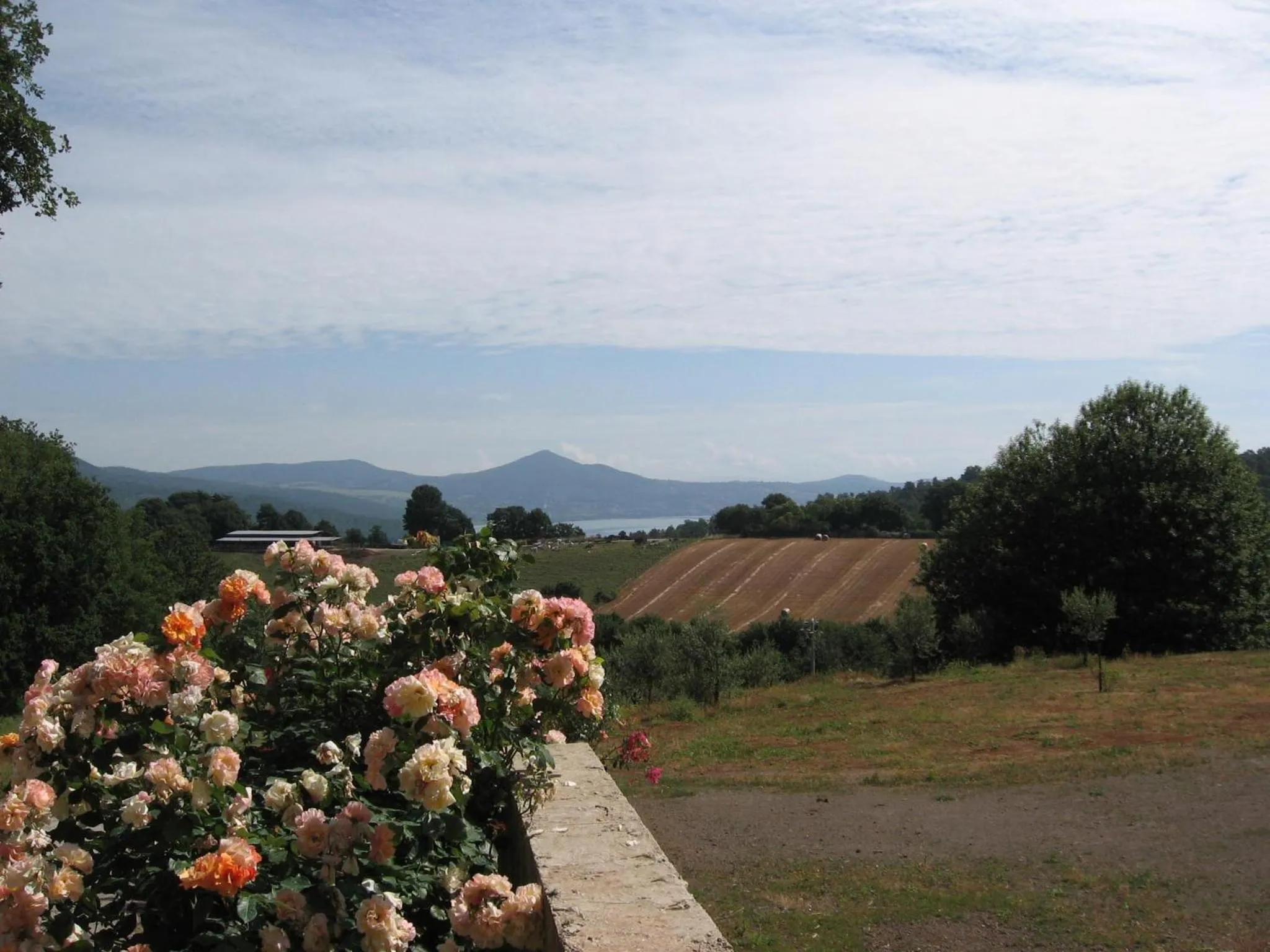 View (from property/room) in Agriturismo La Gismonda