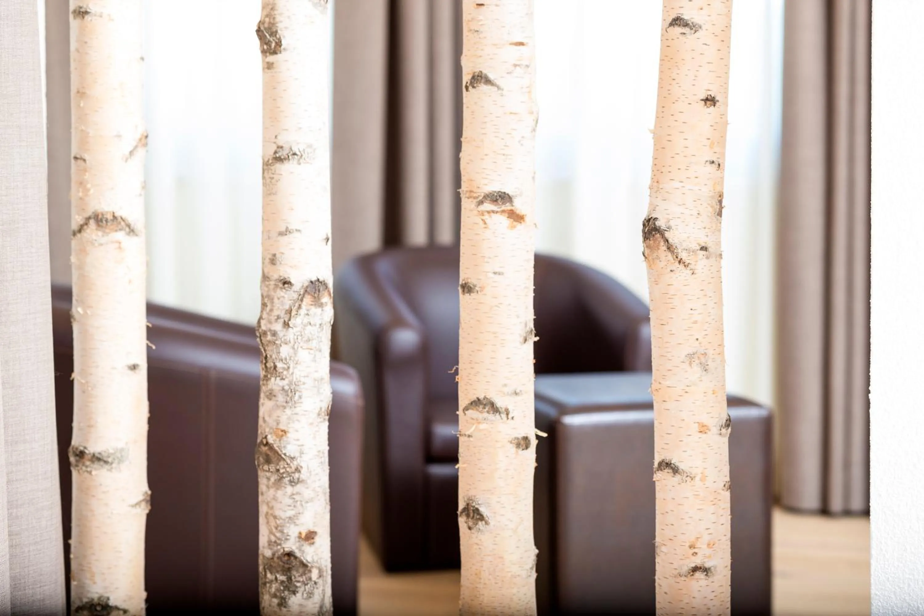 City view in Hotel Royal