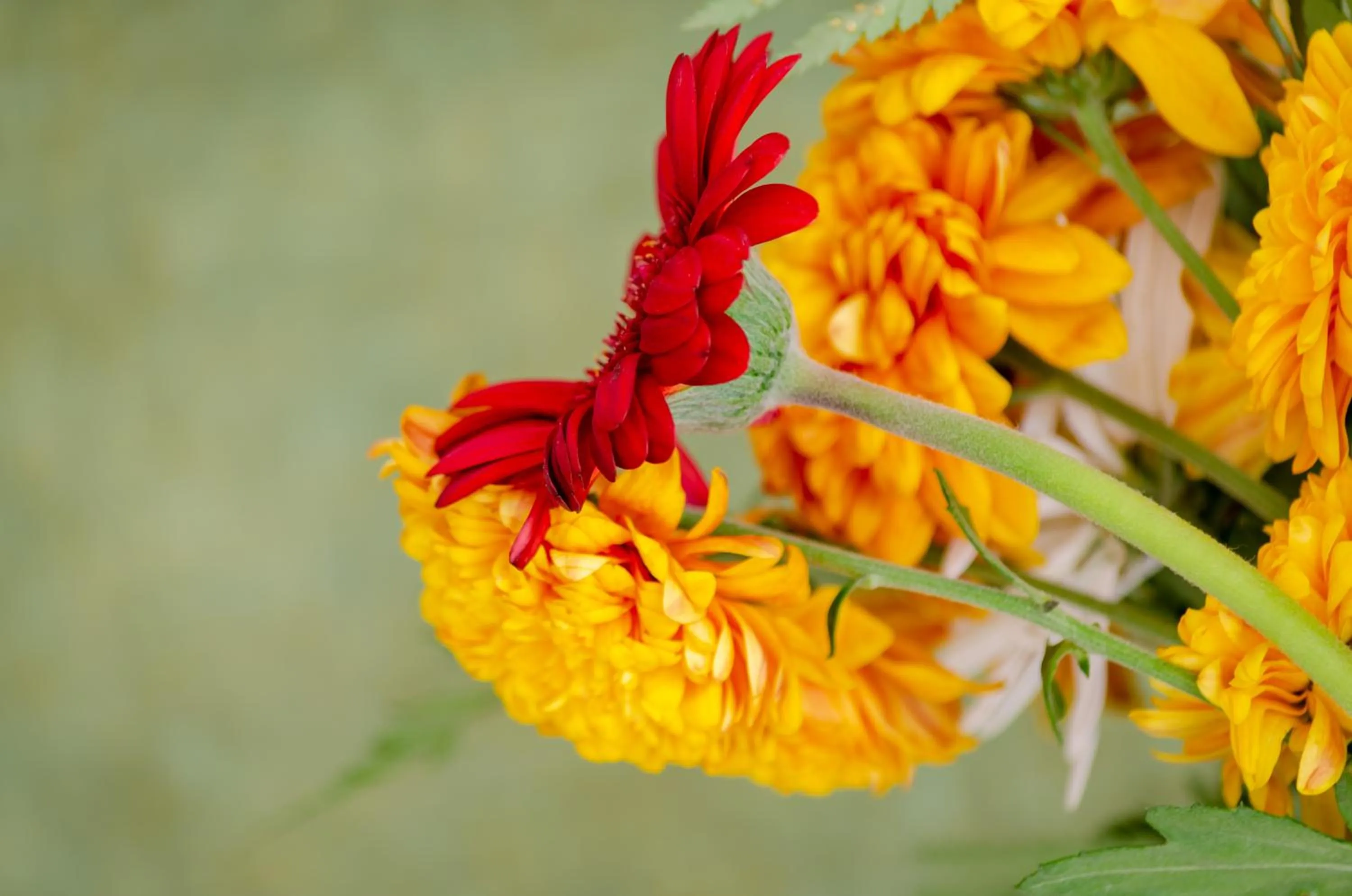 Bedroom in Ver Belém Suites