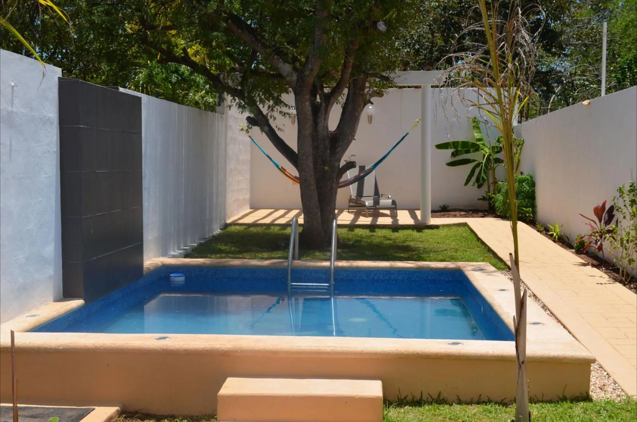 Swimming pool in Casa Mango
