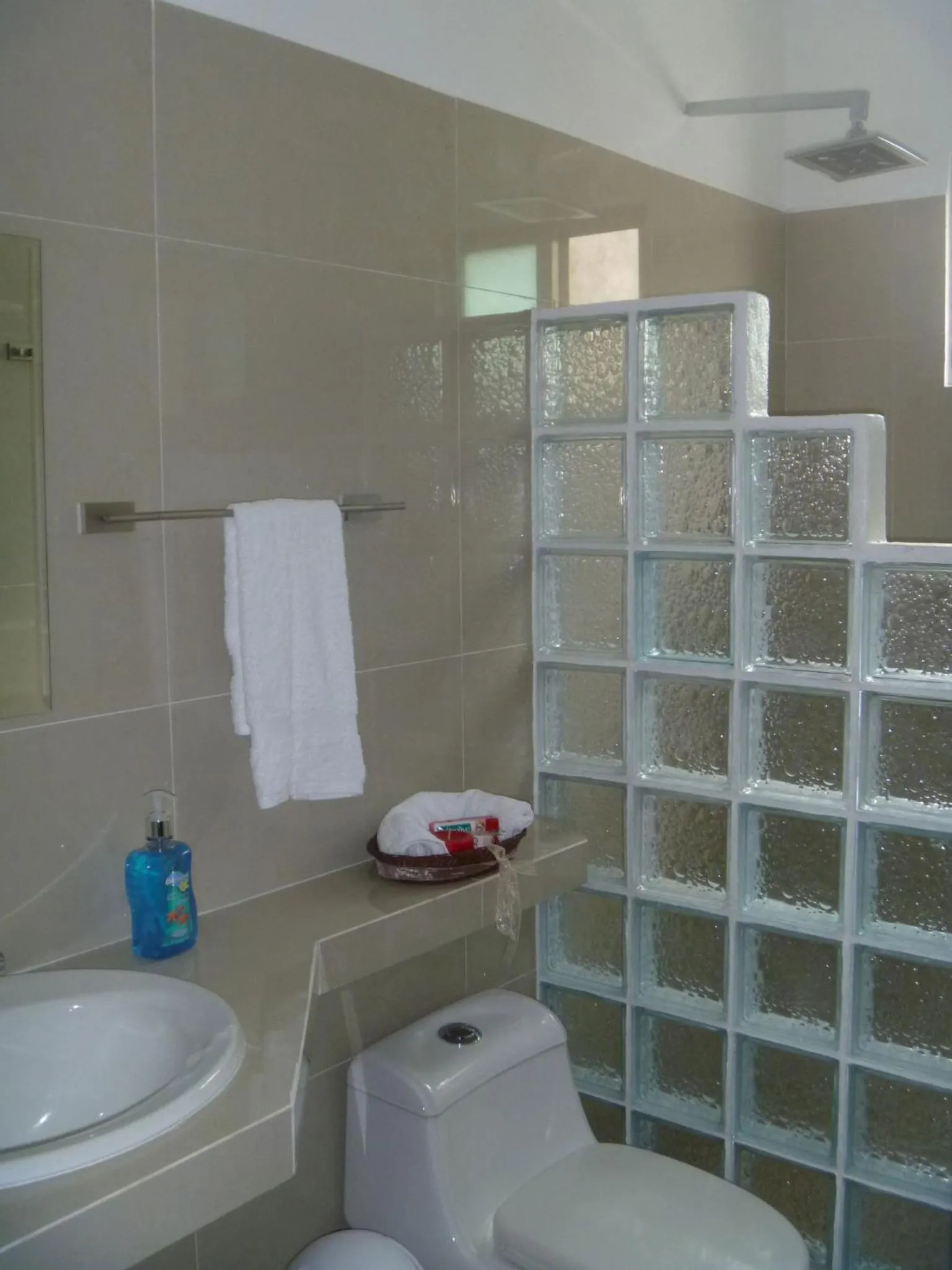 Area and facilities in Casa Mango