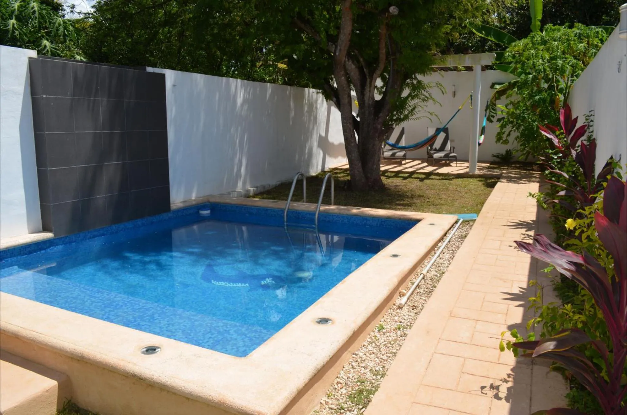 Swimming pool in Casa Mango