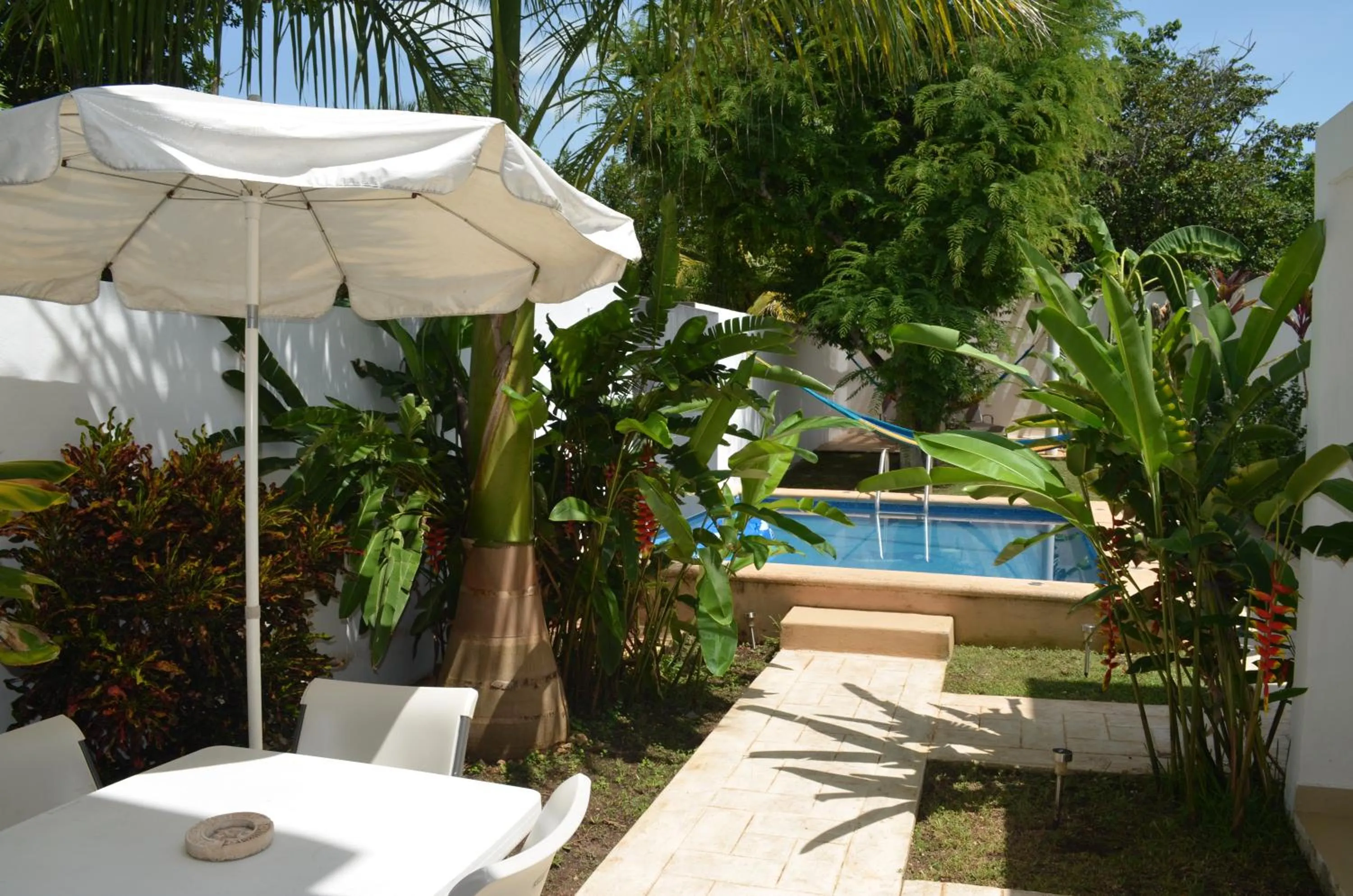 Garden in Casa Mango