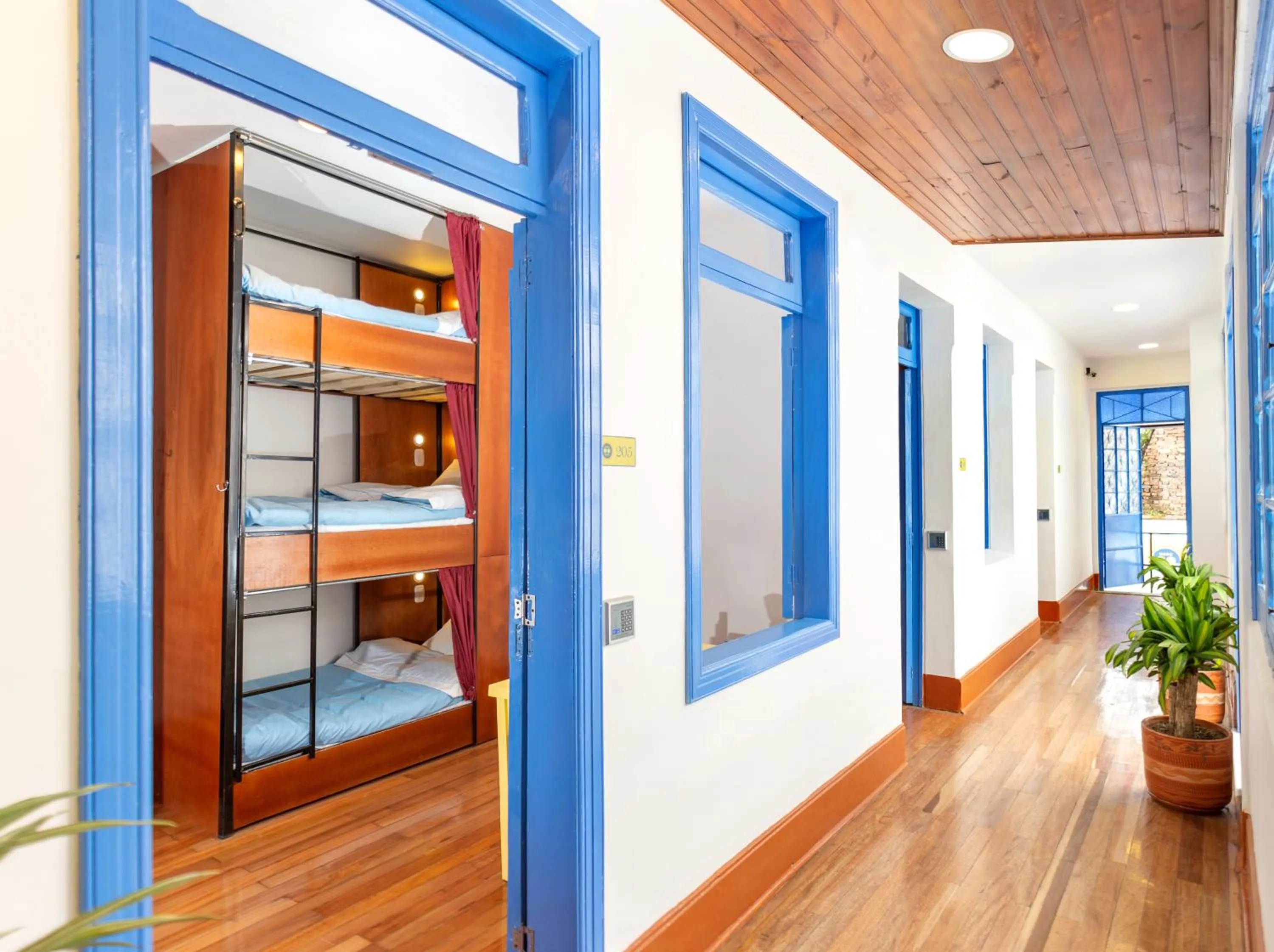 bunk bed, Bed in Granada Hostel