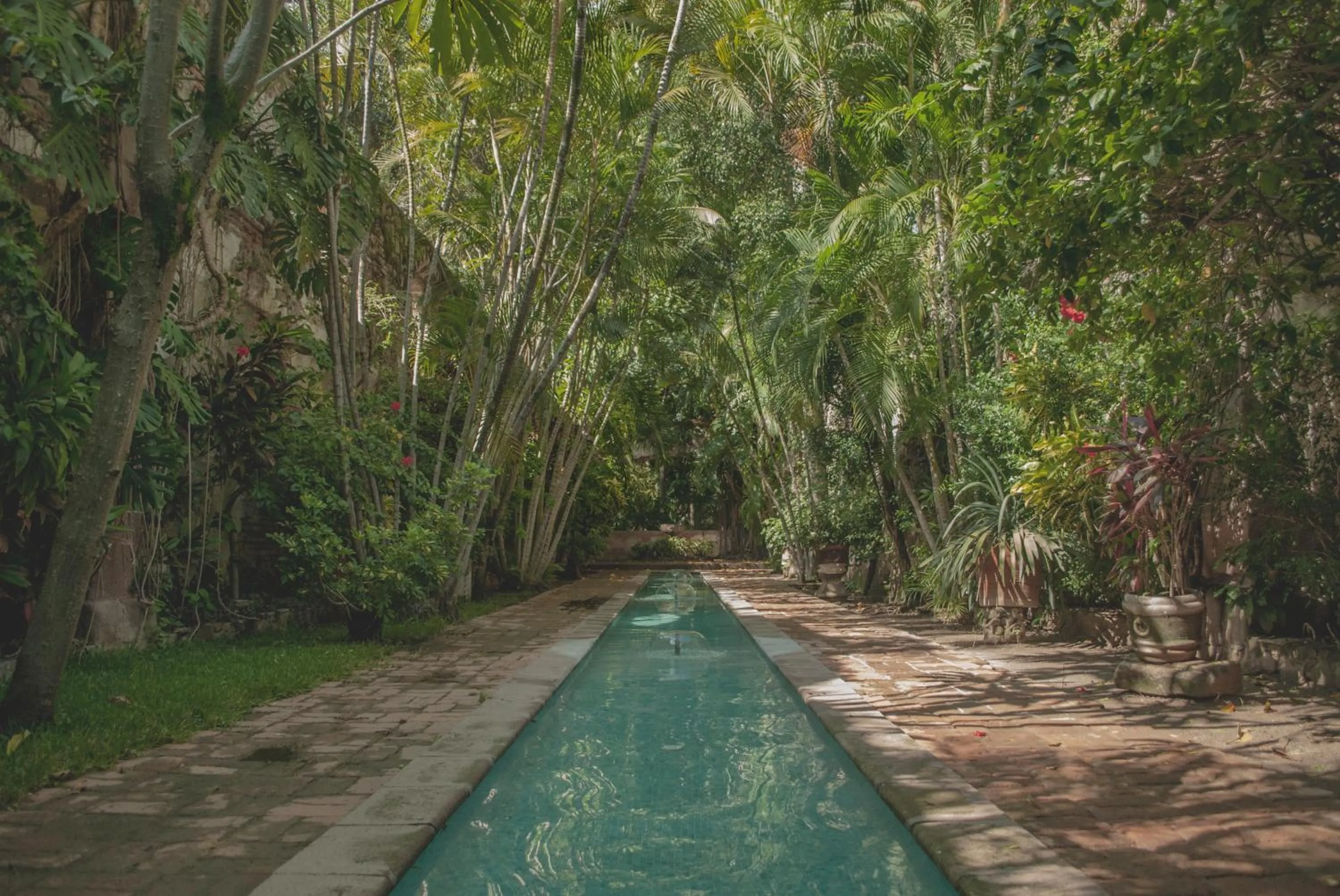 Off site in Hacienda San Gabriel de las Palmas