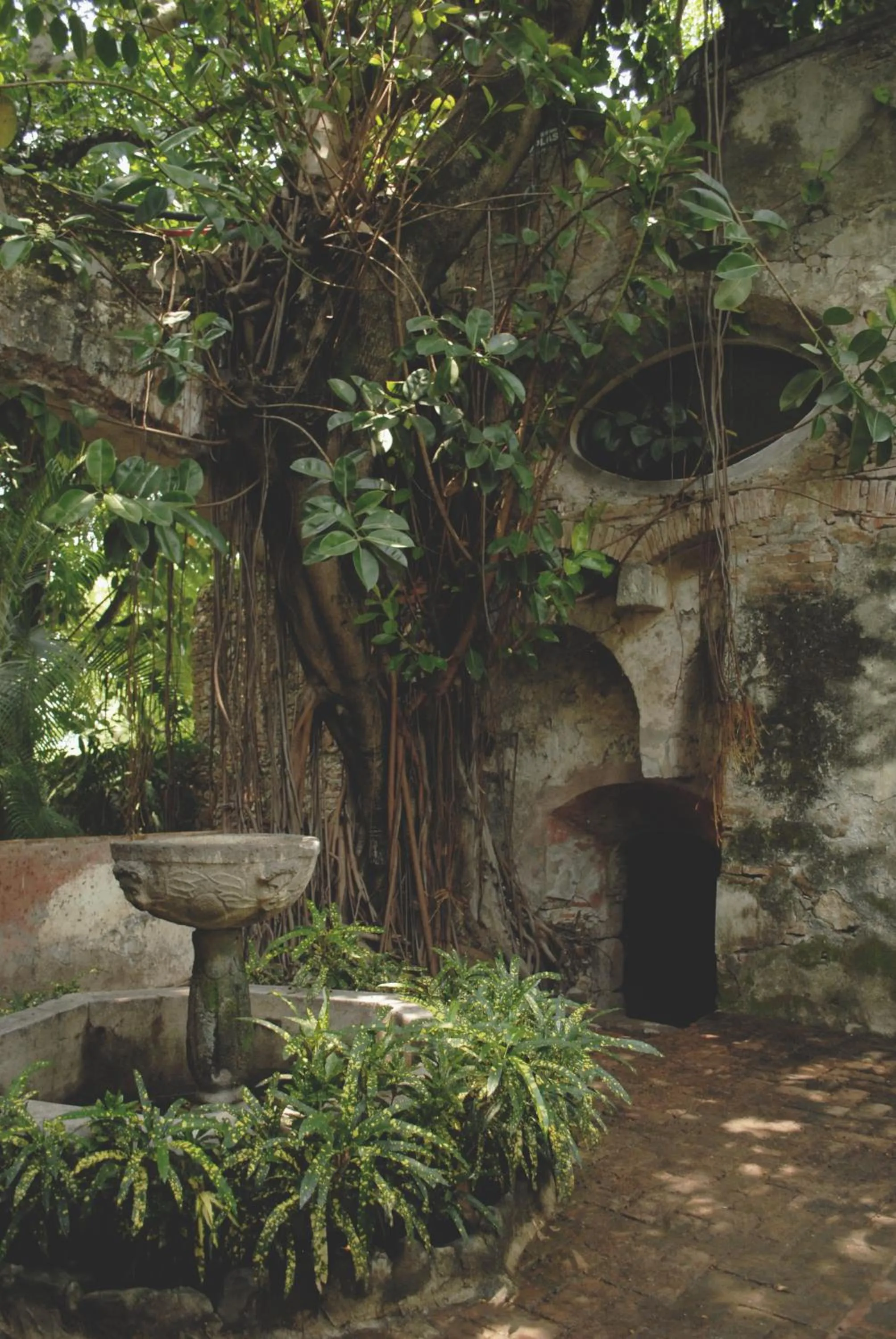 Garden in Hacienda San Gabriel de las Palmas