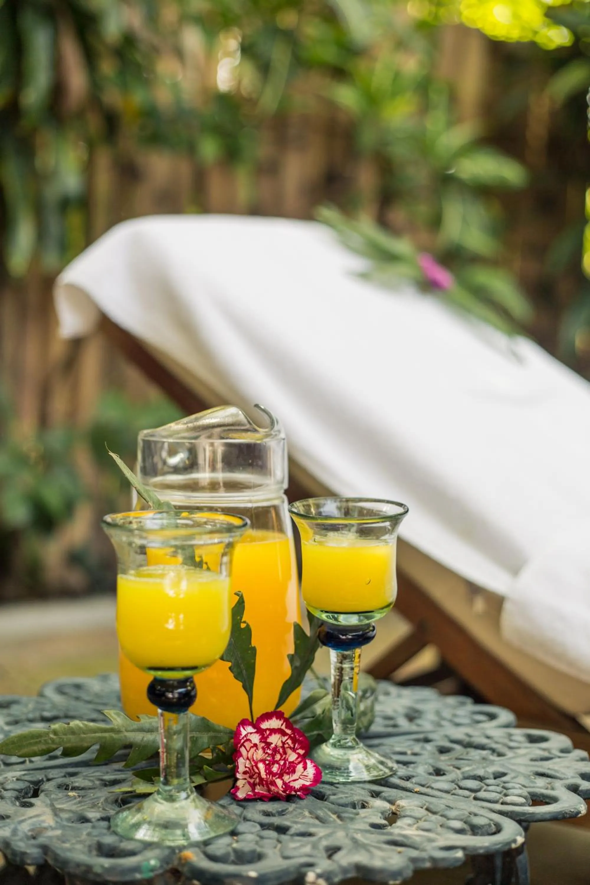 Day in Hacienda San Gabriel de las Palmas