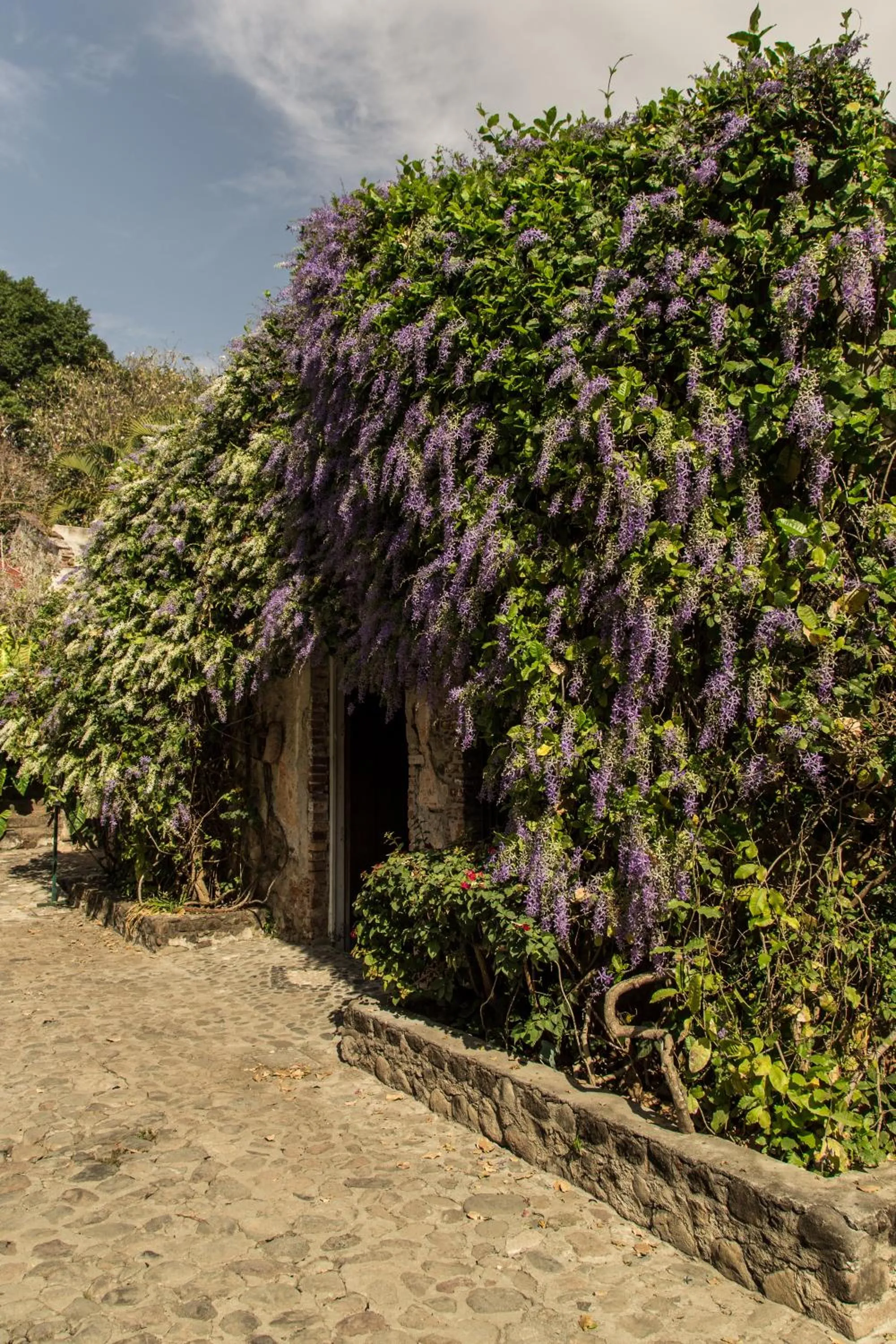 Communal lounge/ TV room in Hacienda San Gabriel de las Palmas