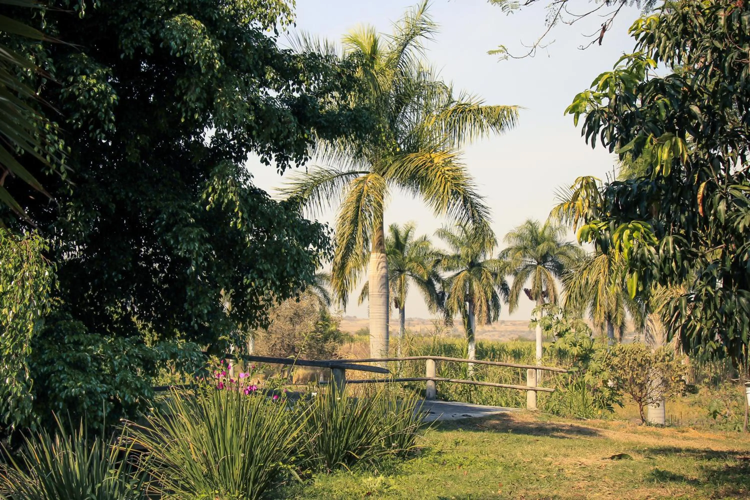 Natural landscape in Hacienda San Gabriel de las Palmas