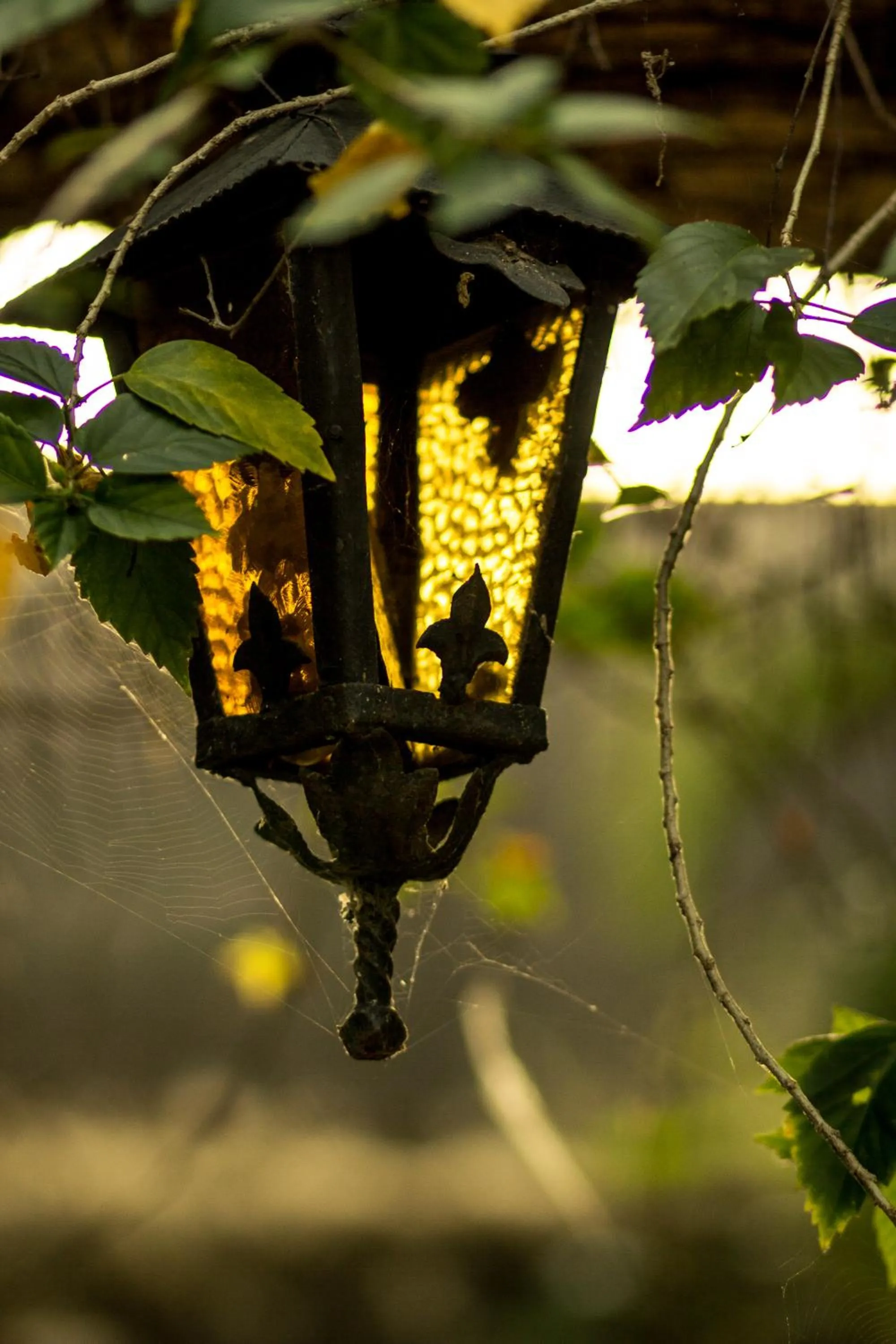 Garden in Hacienda San Gabriel de las Palmas
