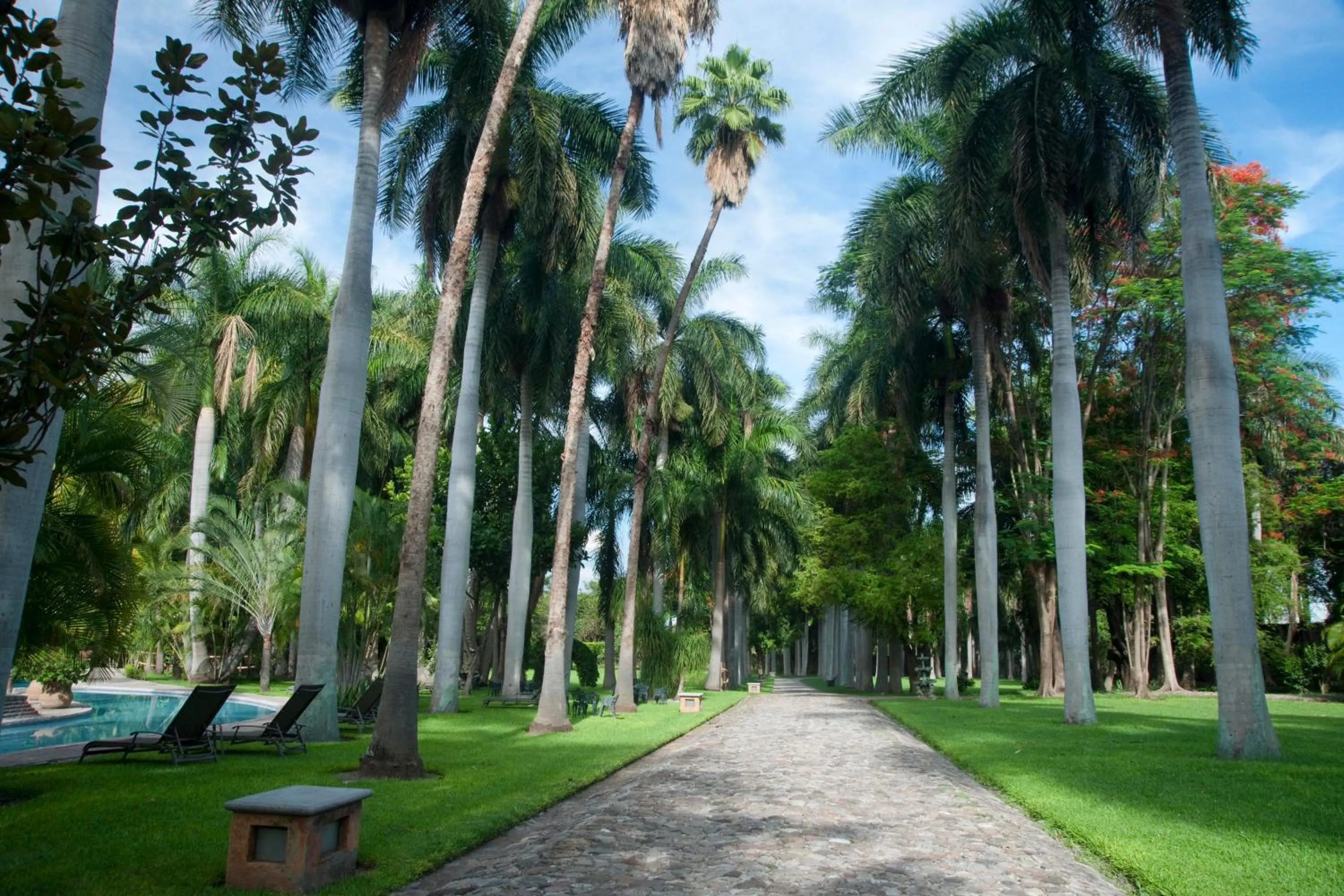 Natural landscape in Hacienda San Gabriel de las Palmas
