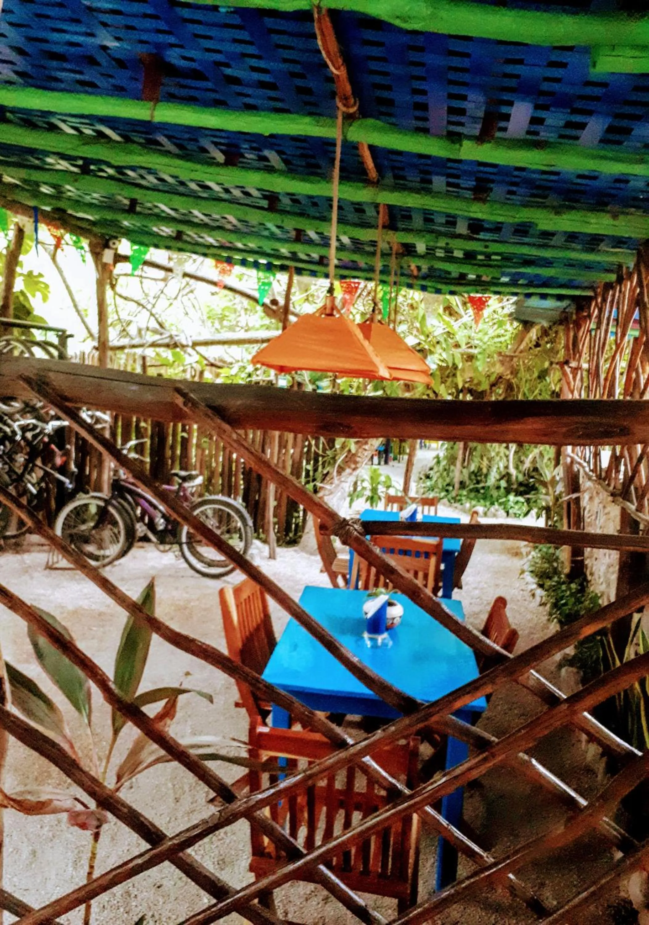 Patio in Hostel Candelaria