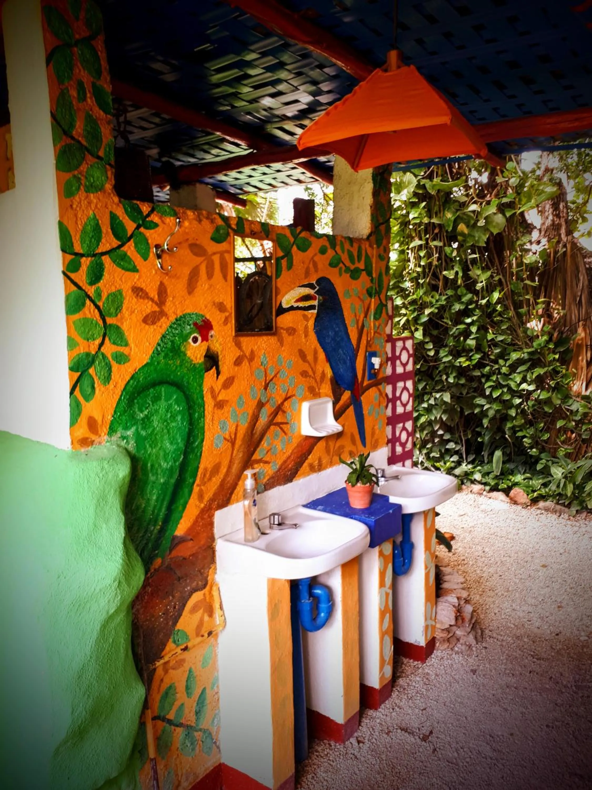 Patio in Hostel Candelaria