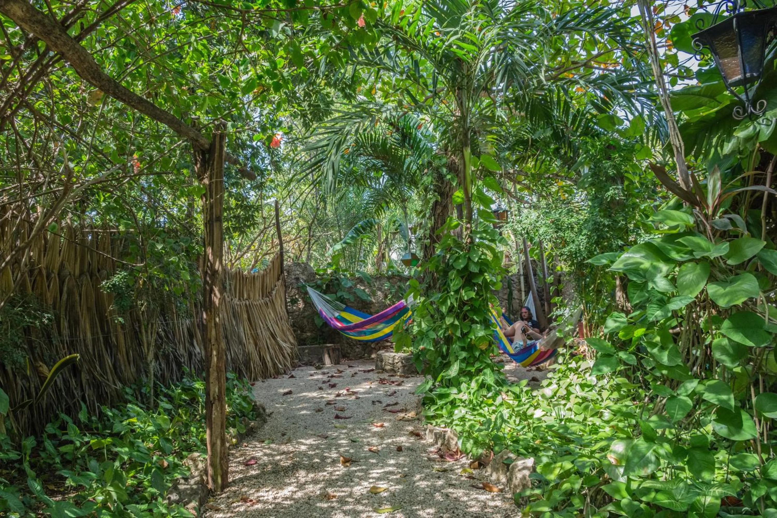 Natural landscape in Hostel Candelaria