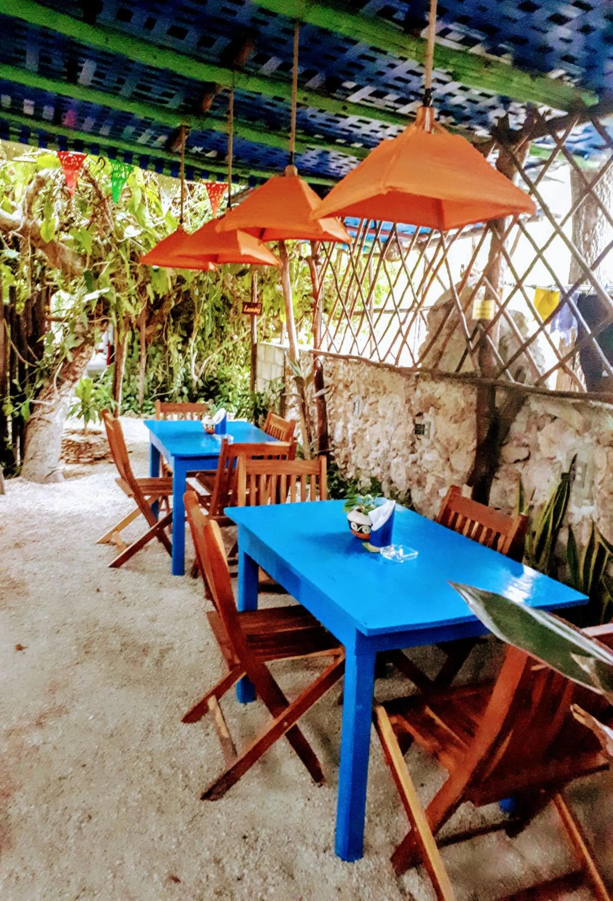 Garden in Hostel Candelaria