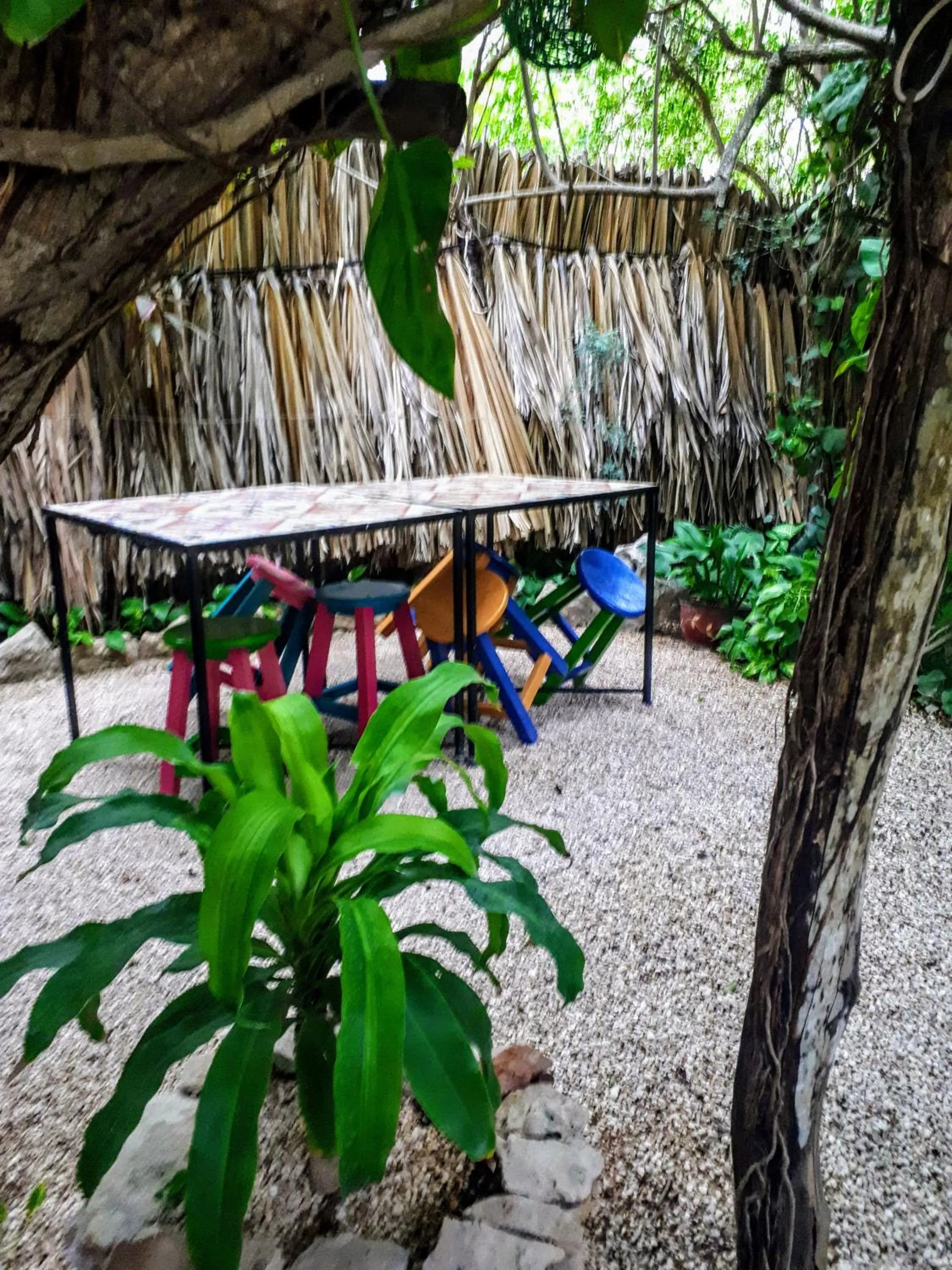 Patio in Hostel Candelaria