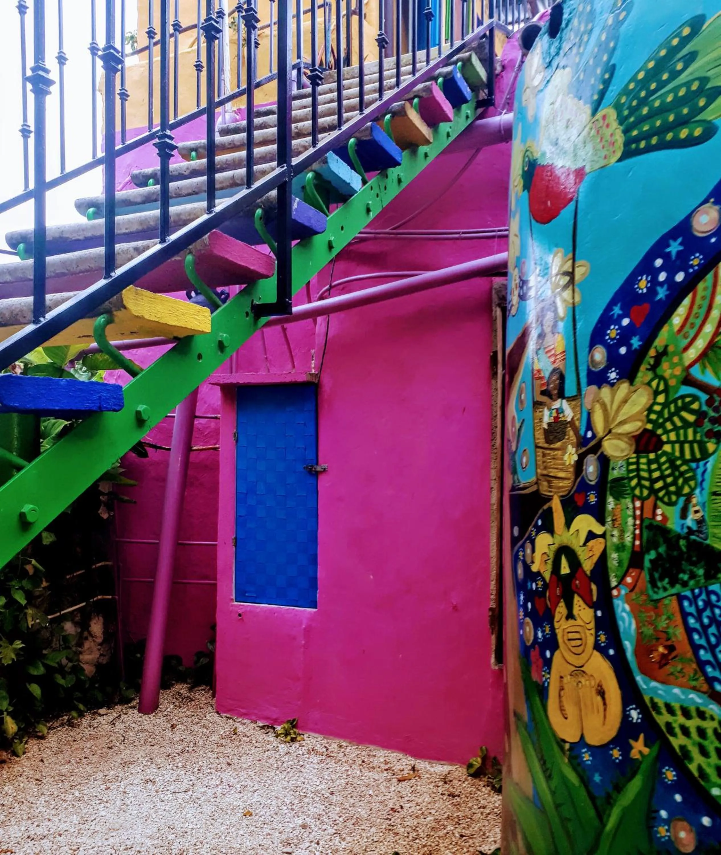 Garden in Hostel Candelaria