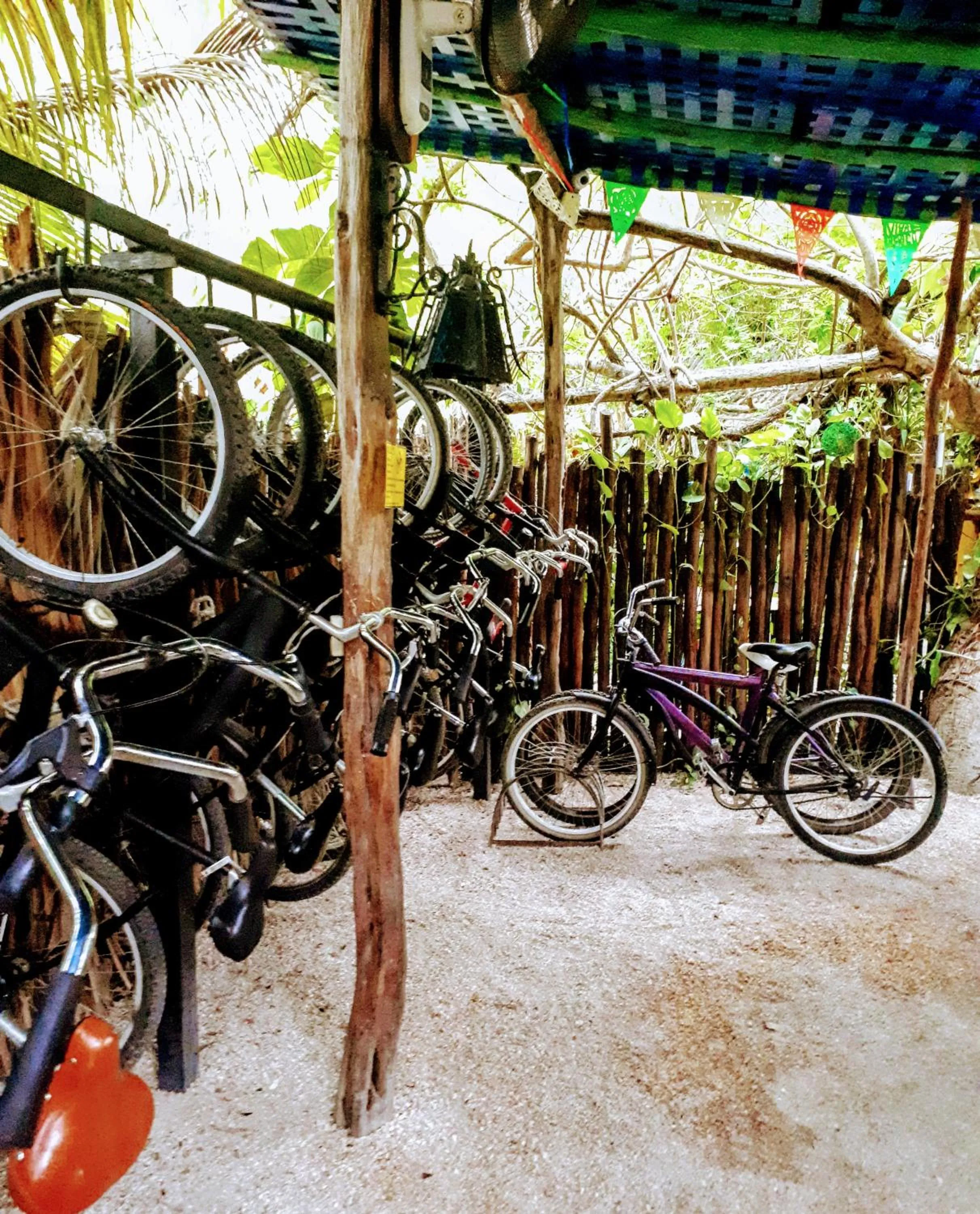 Activities in Hostel Candelaria