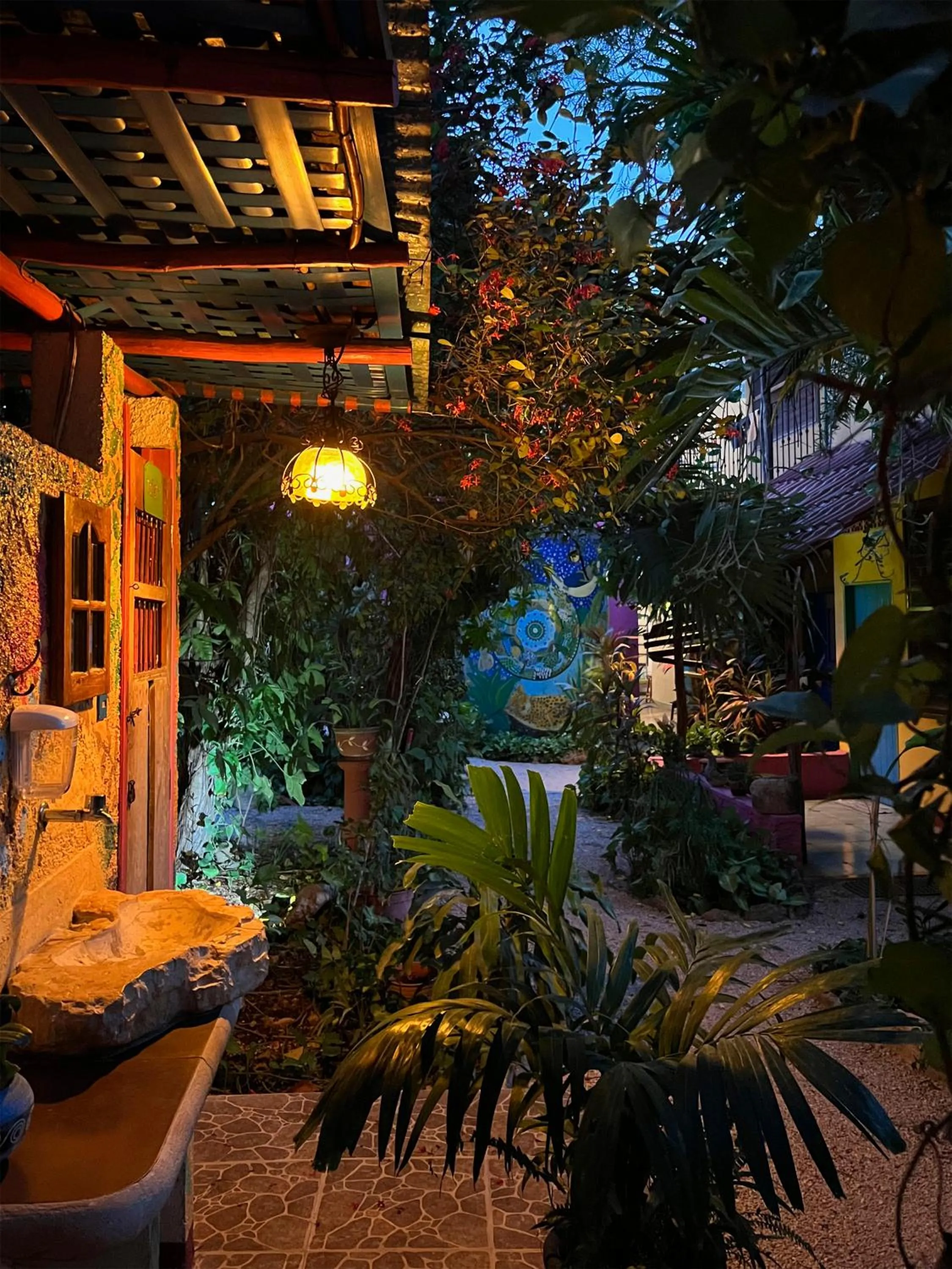 Patio in Hostel Candelaria