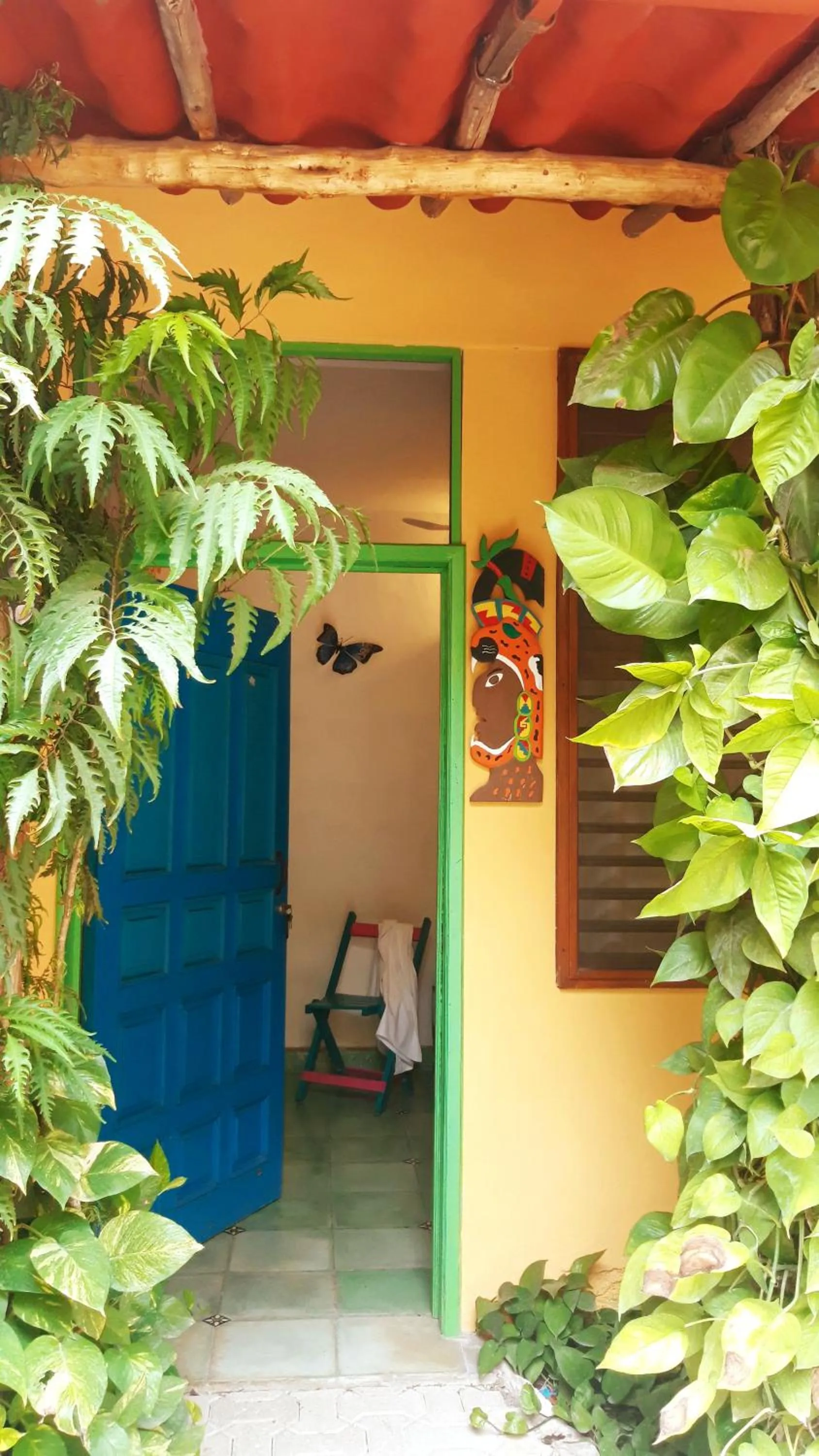 Patio in Hostel Candelaria