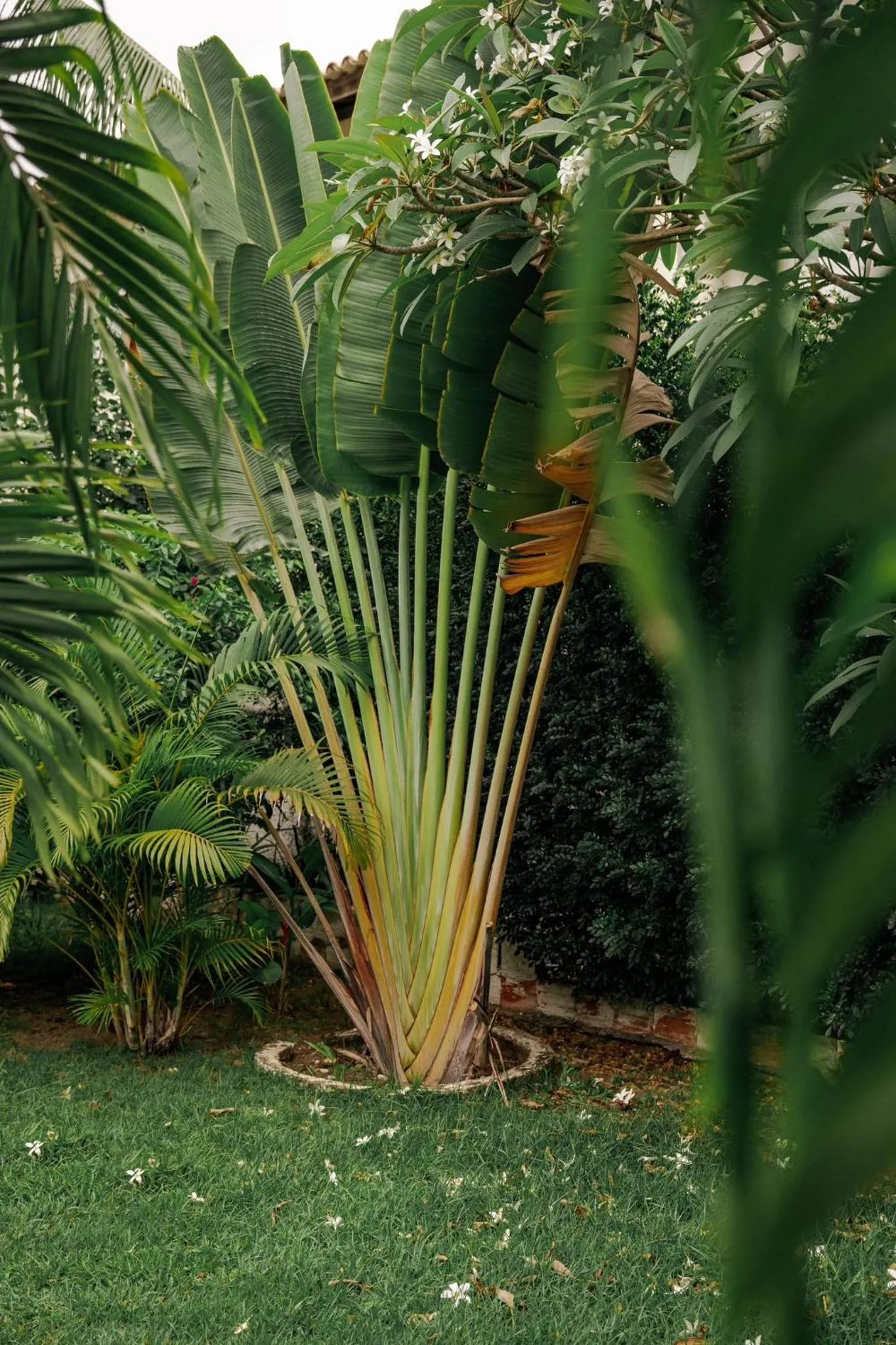Pousada da Mércia - Itapuã (BA)